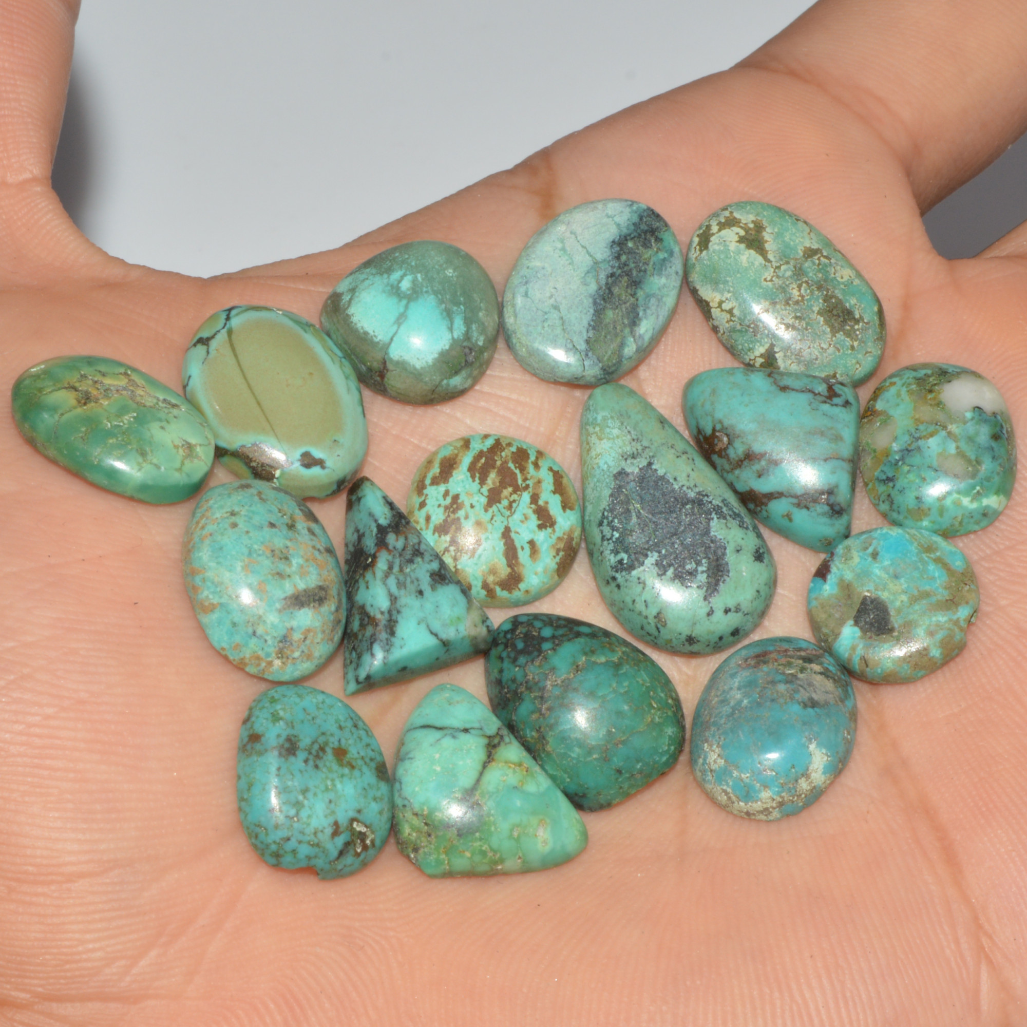 16Pc 98Ct Natural Tibetan Turquoise Cabochon Loose Gemstone 20x12 11x11mm 16362