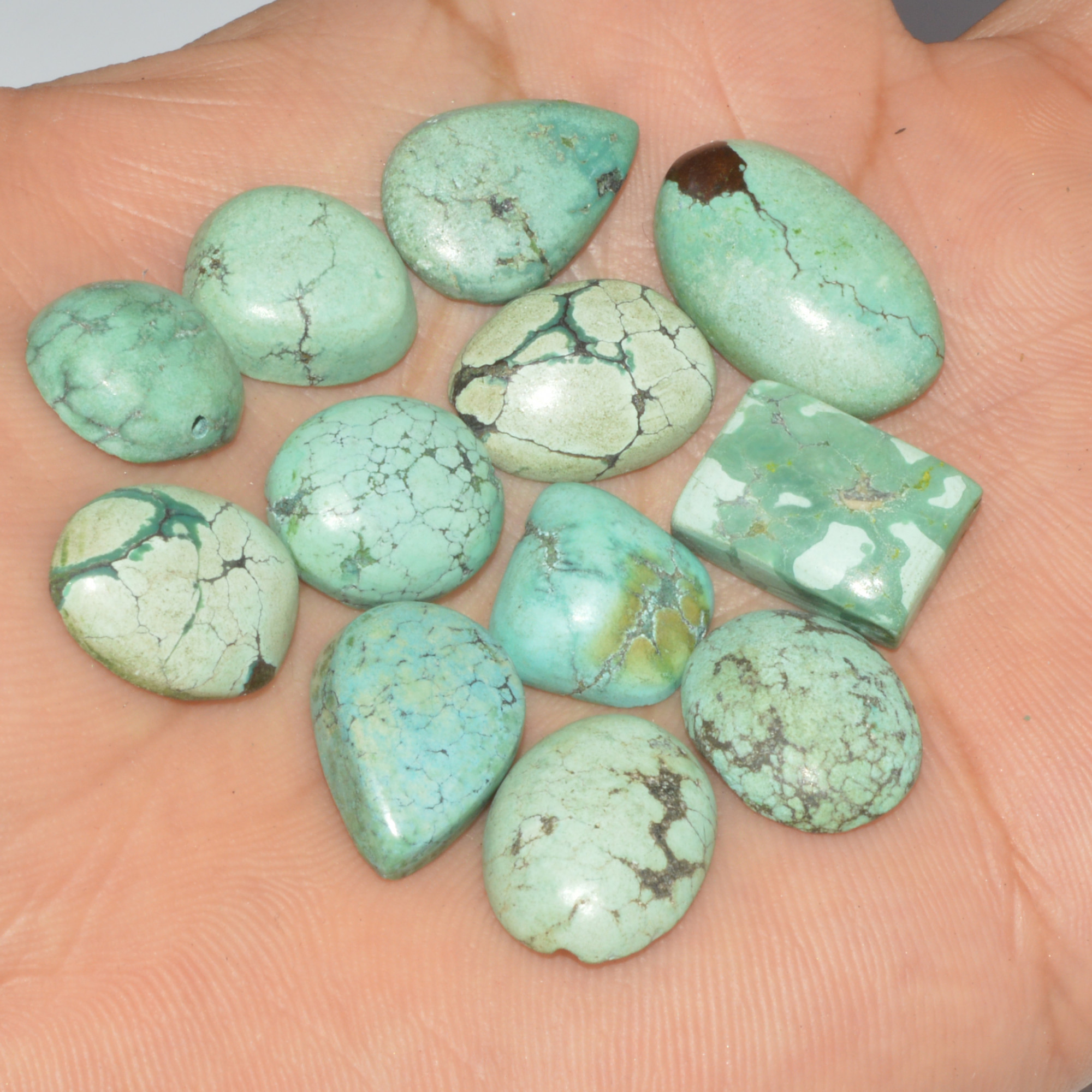 12Pc 84Ct Natural Tibetan Turquoise Cabochon Loose Gemstone 20x12 13x11mm 16363