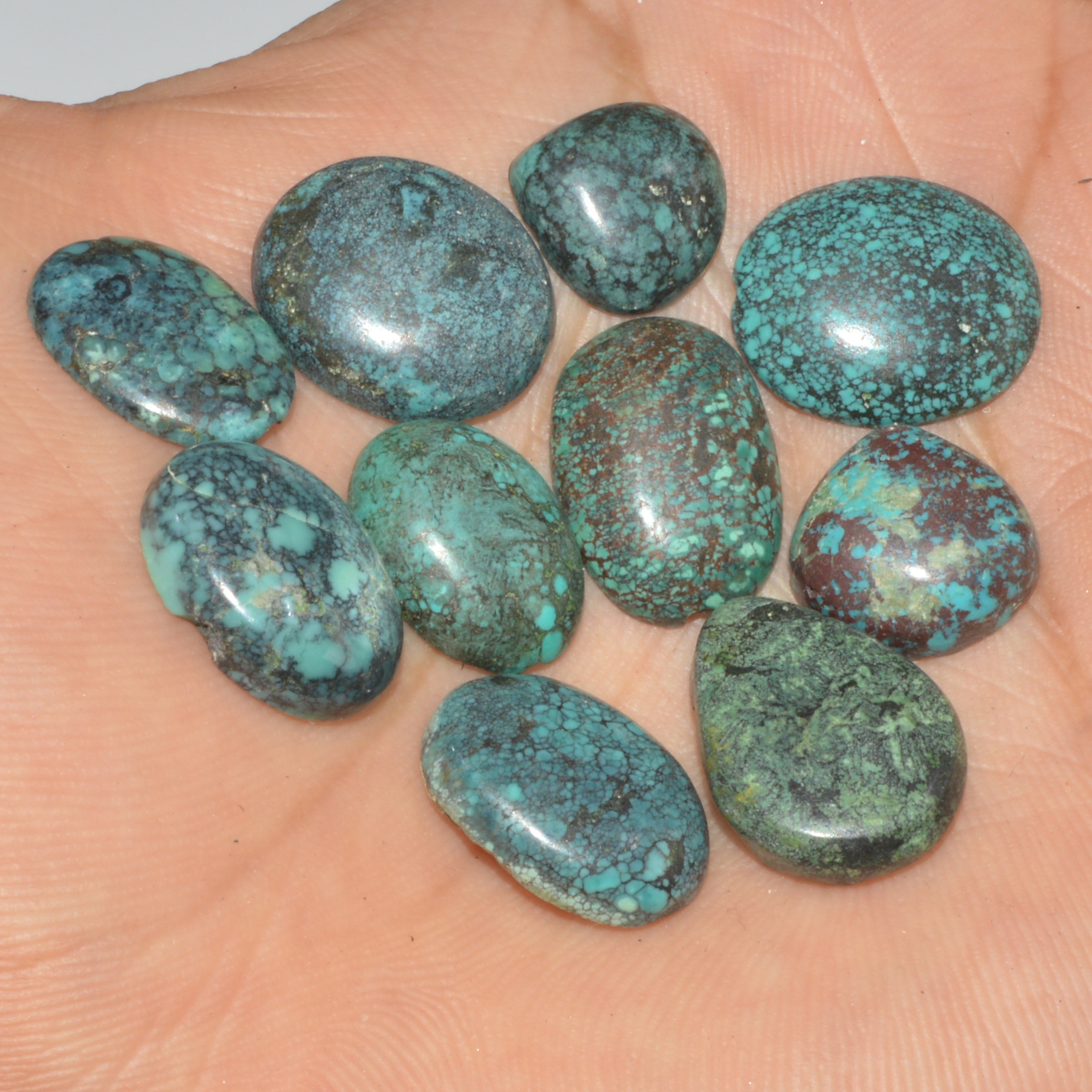 10Pc 68Ct Natural Tibetan Turquoise Cabochon Loose Gemstone 18x13 11x11mm 16364