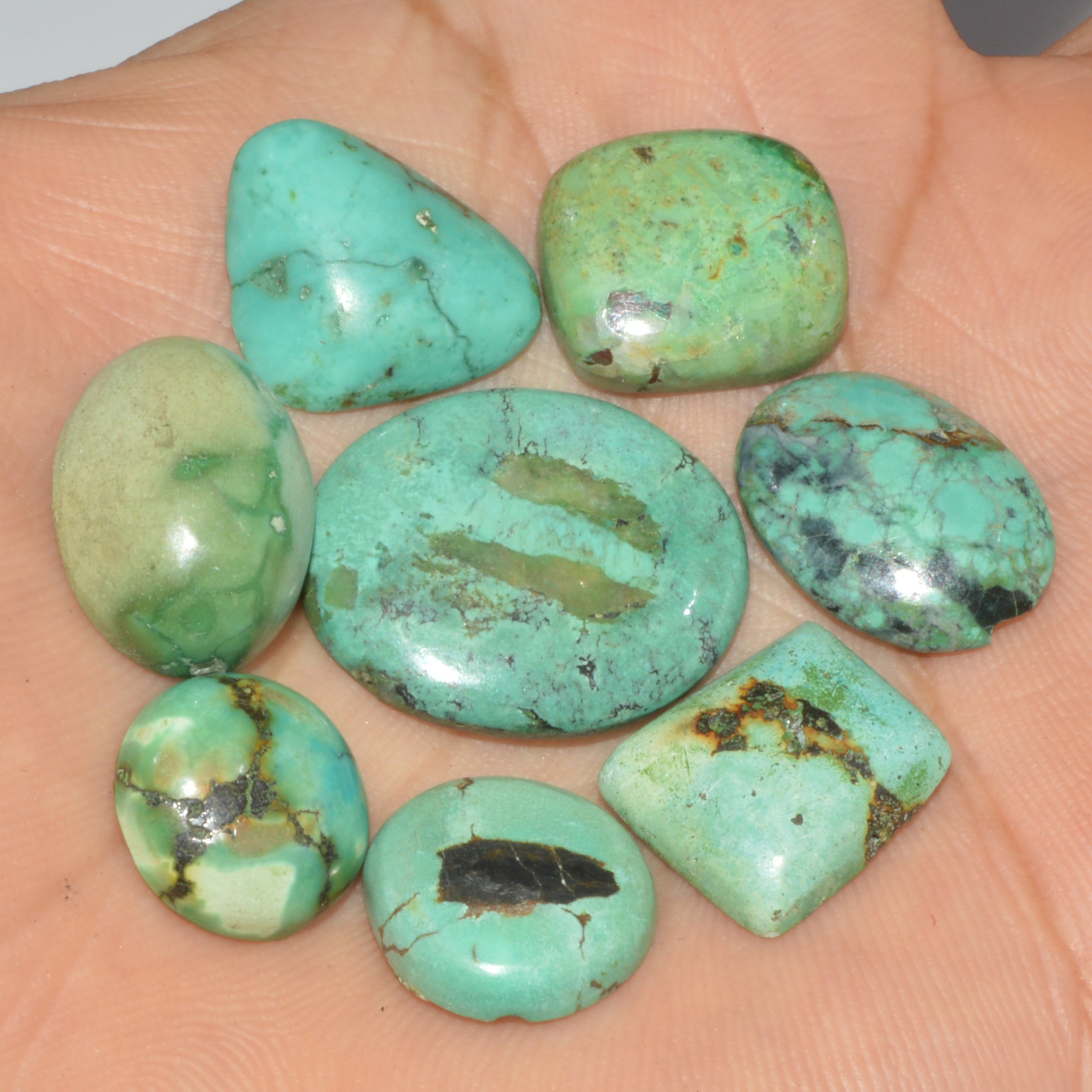 8Pcs 72Ct Natural Tibetan Turquoise Cabochon Loose Gemstone 24x20 14x14mm 16369