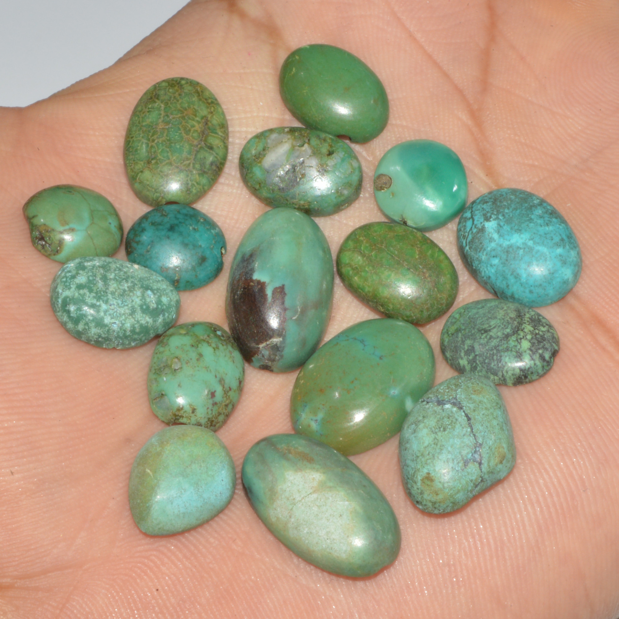 16Pc 80Ct Natural Tibetan Turquoise Cabochon Loose Gemstone 19x10 10x10mm 16375