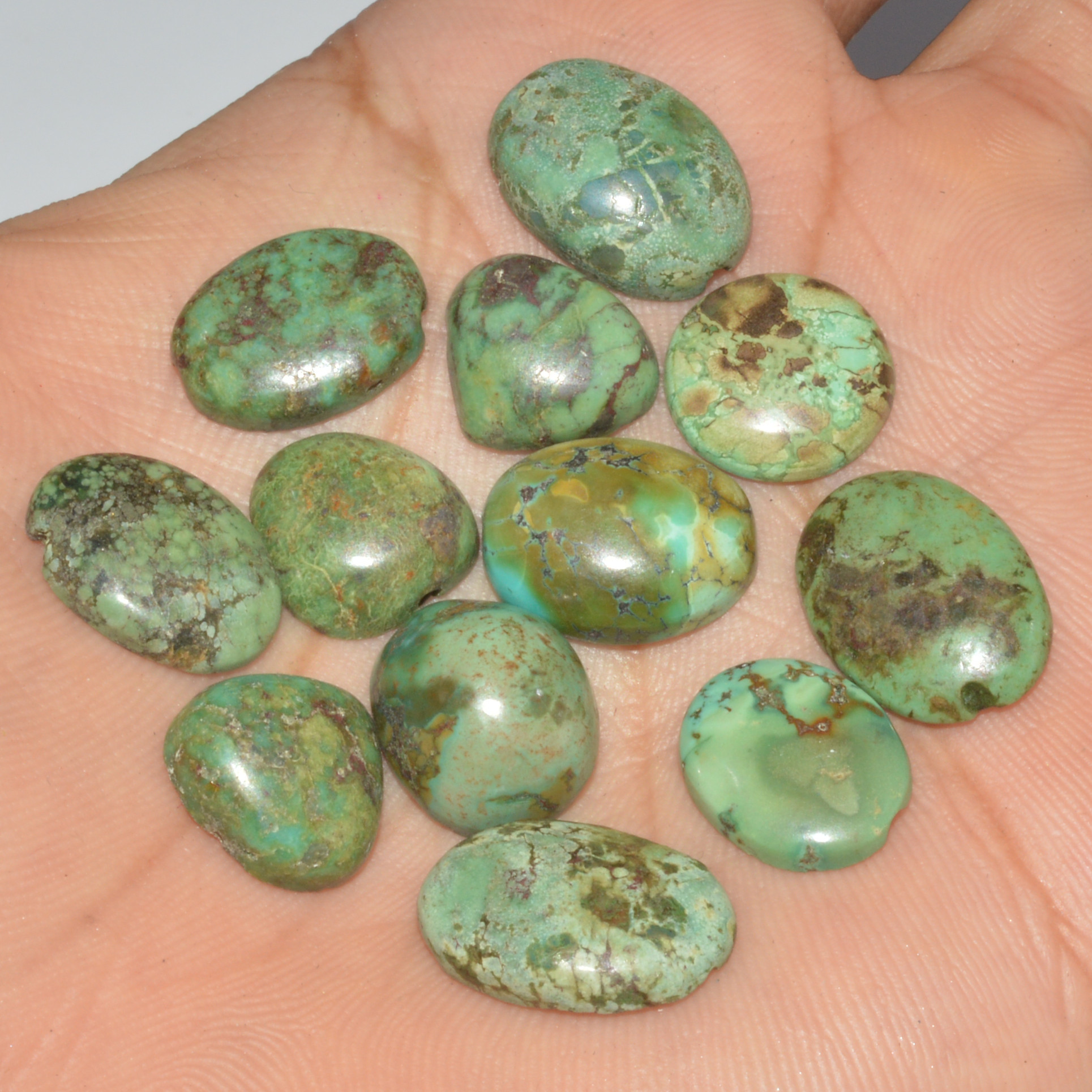 12Pc 77Ct Natural Tibetan Turquoise Cabochon Loose Gemstone 17x10 13x10mm 16378