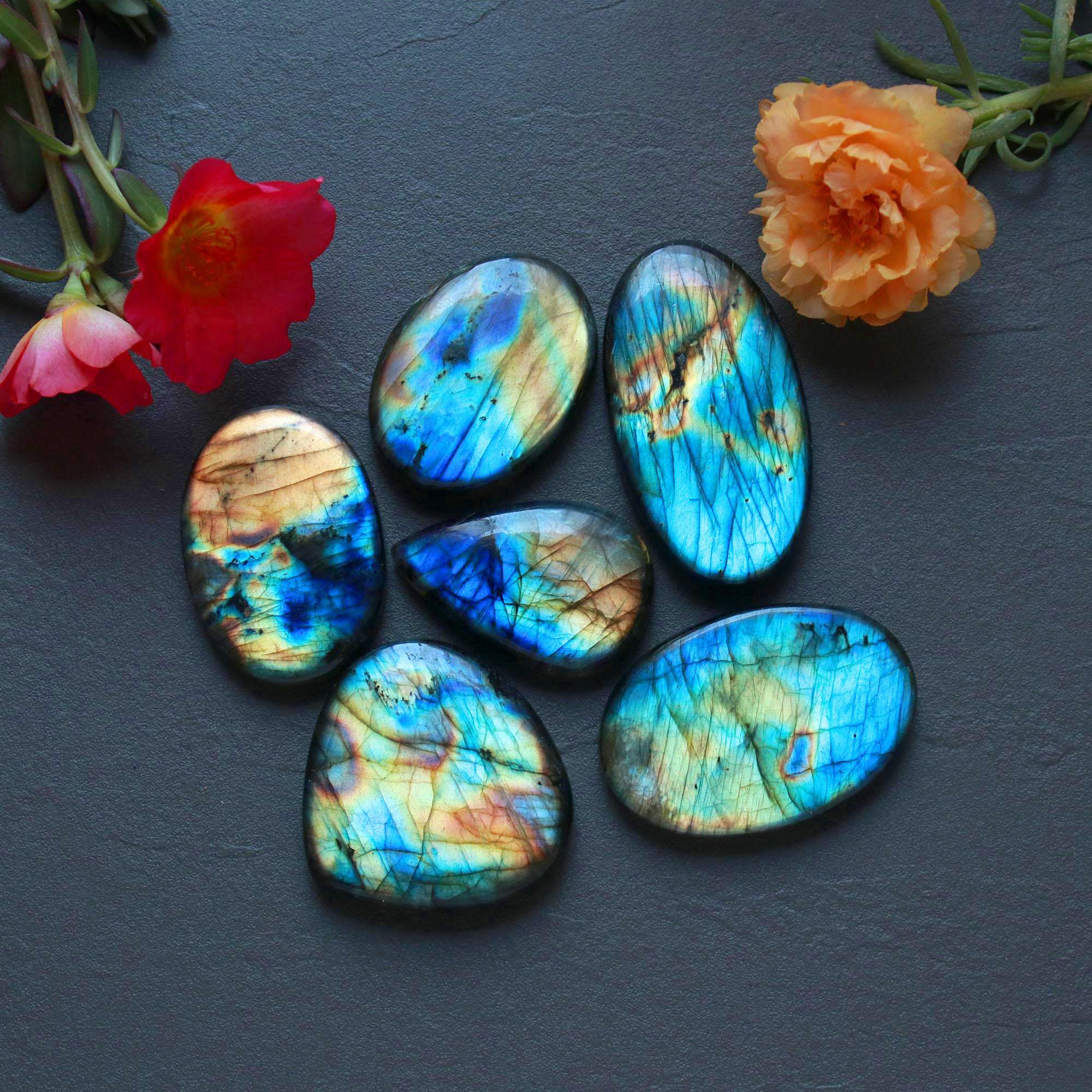 6Pcs 348Ct Natural Labradorite Mixed Shape Cabochon Loose Semi-Precious Multi Fire Crystal Gemstone Lot 43x23 32x23mm 16574