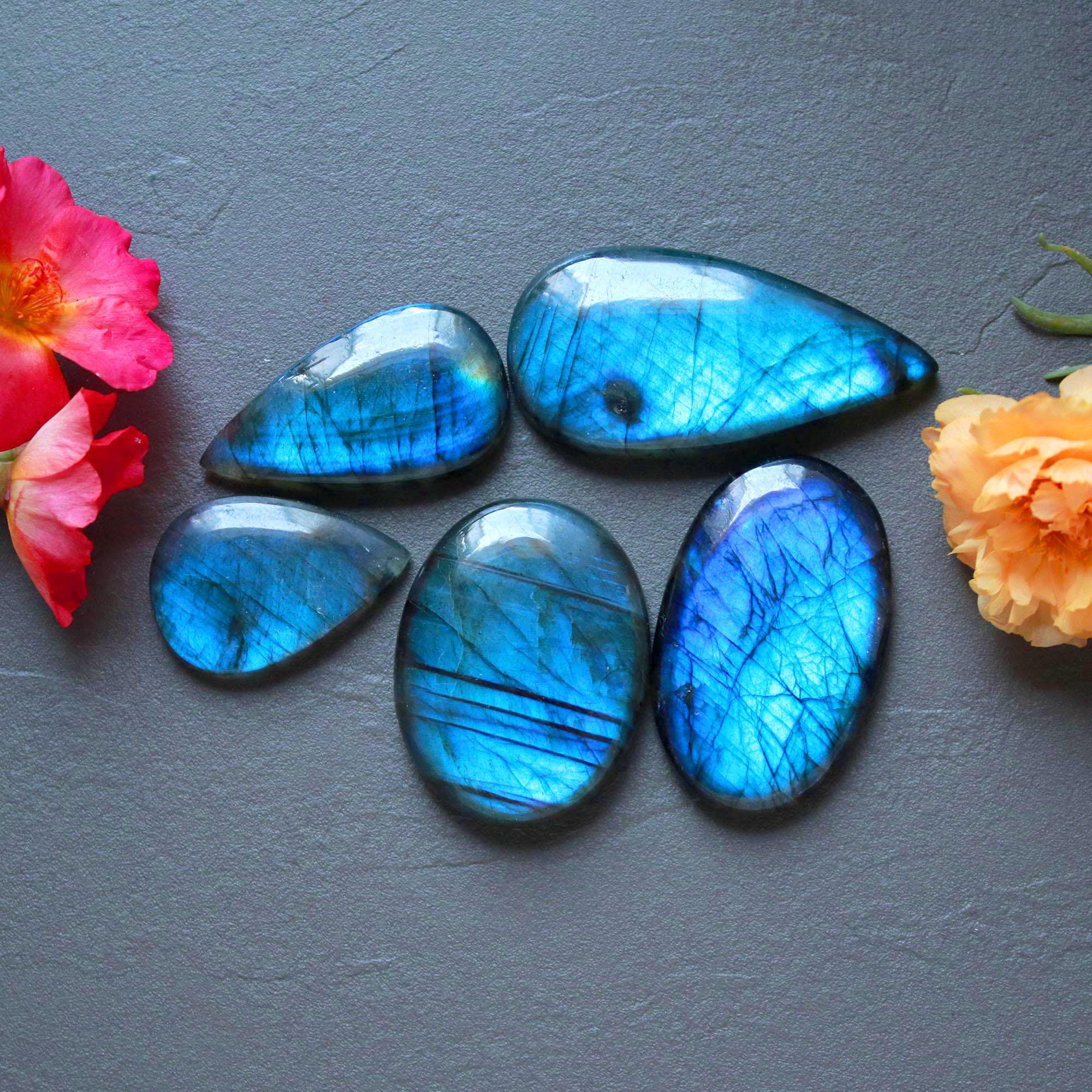 5Pcs 262Ct Natural Labradorite Mixed Shape Cabochon Loose Semi-Precious Multi Fire Crystal Gemstone Lot 46x22 27x19mm 16577