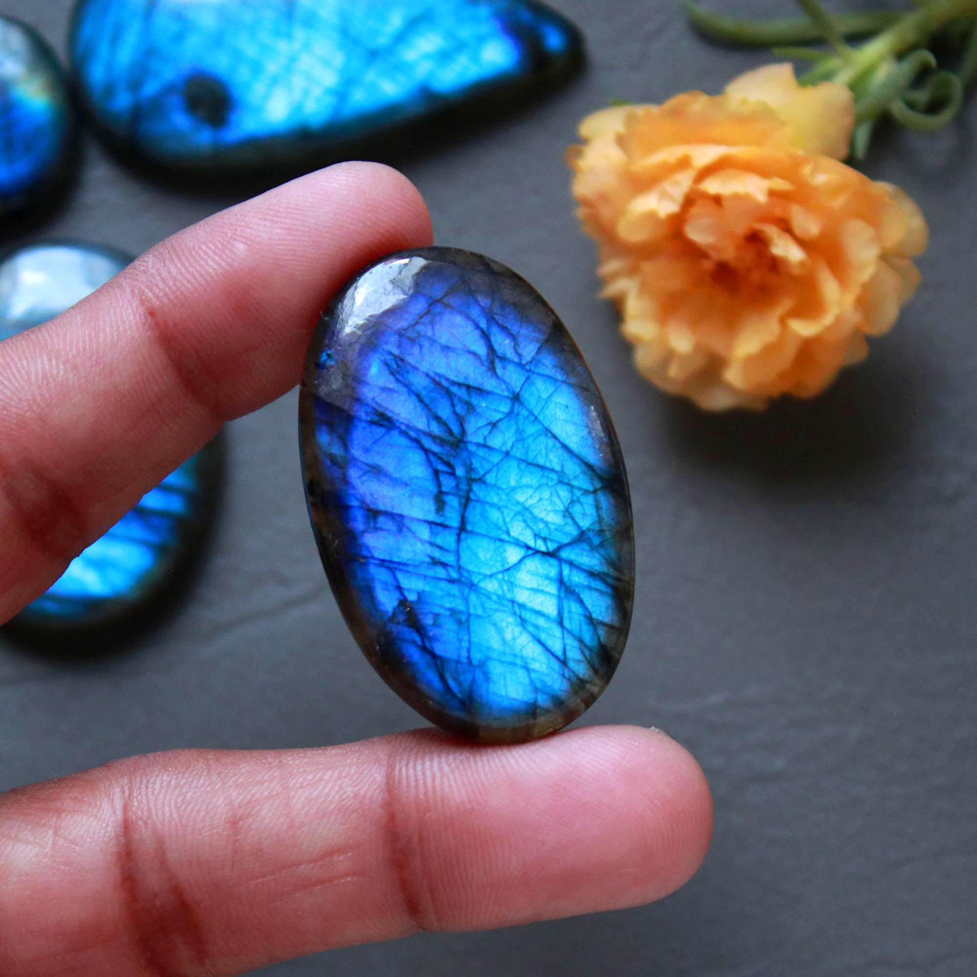 5Pcs 262Ct Natural Labradorite Mixed Shape Cabochon Loose Semi-Precious Multi Fire Crystal Gemstone Lot 46x22 27x19mm 16577