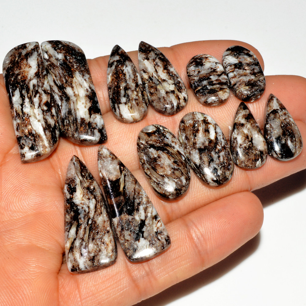 Image of 6 Pairs 172 Cts Natural Silver Mica Schist Pair Lot For Silver Earring Loose Gemstone Mixed Shape Crystal Healing Gems 34x10 18x10mm #16774