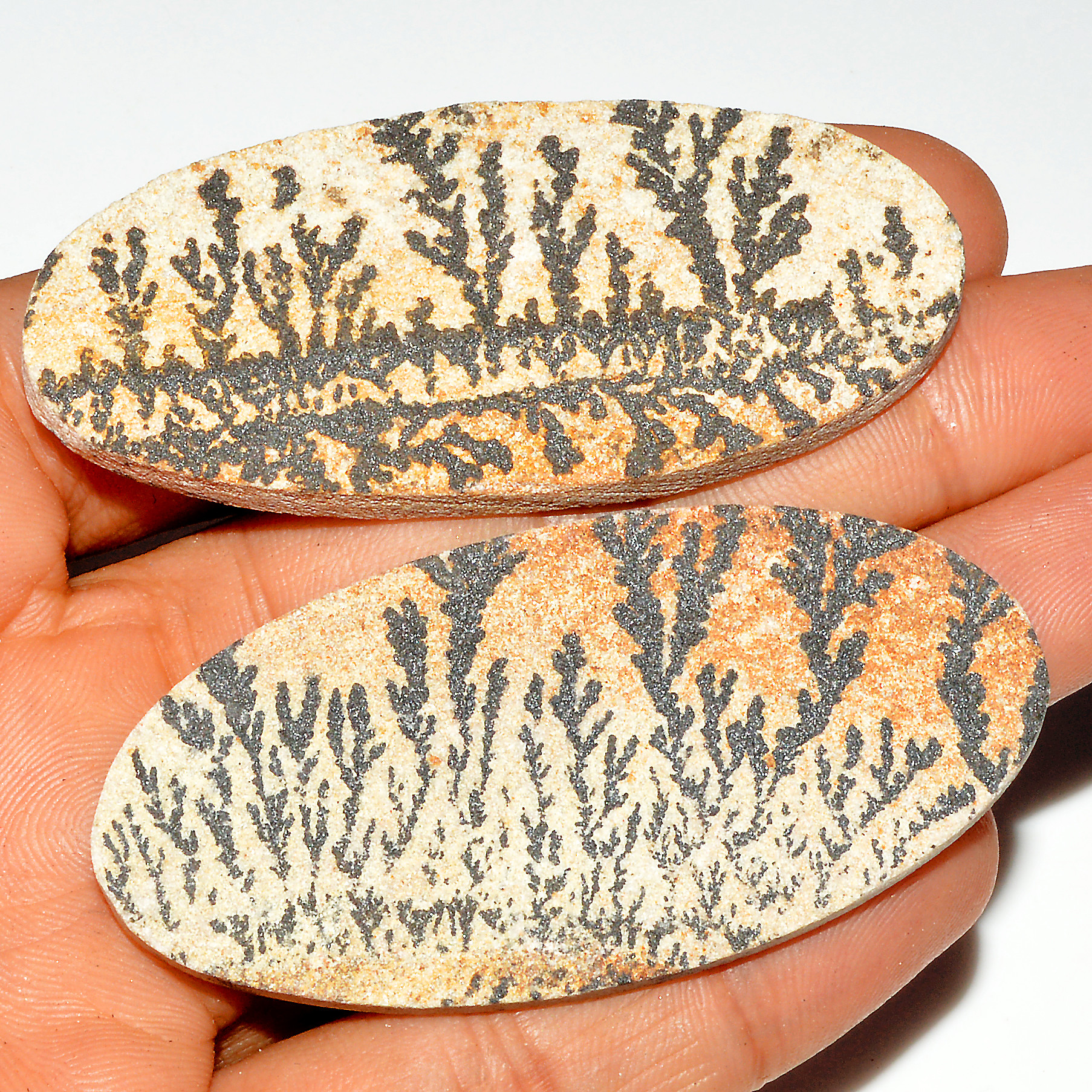 2 Pcs 160 Cts Natural Manganese Dendrite Agate Druzy Loose Gemstone Crystal Healing Mixed Shape For Jewelry Making 65x30 65x30mm 16791