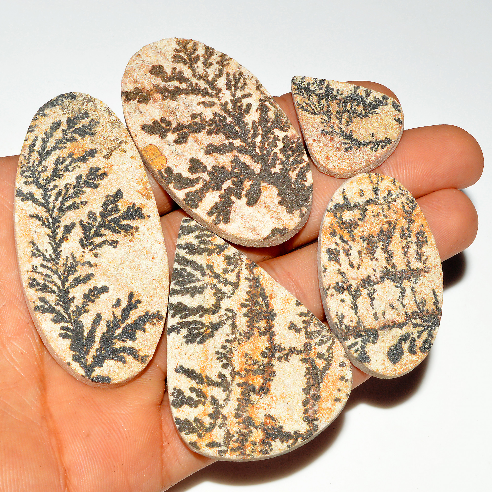 5 Pcs 346 Cts Natural Manganese Dendrite Agate Druzy Loose Gemstone Crystal Healing Mixed Shape For Jewelry Making 65x30 28x22mm 16806