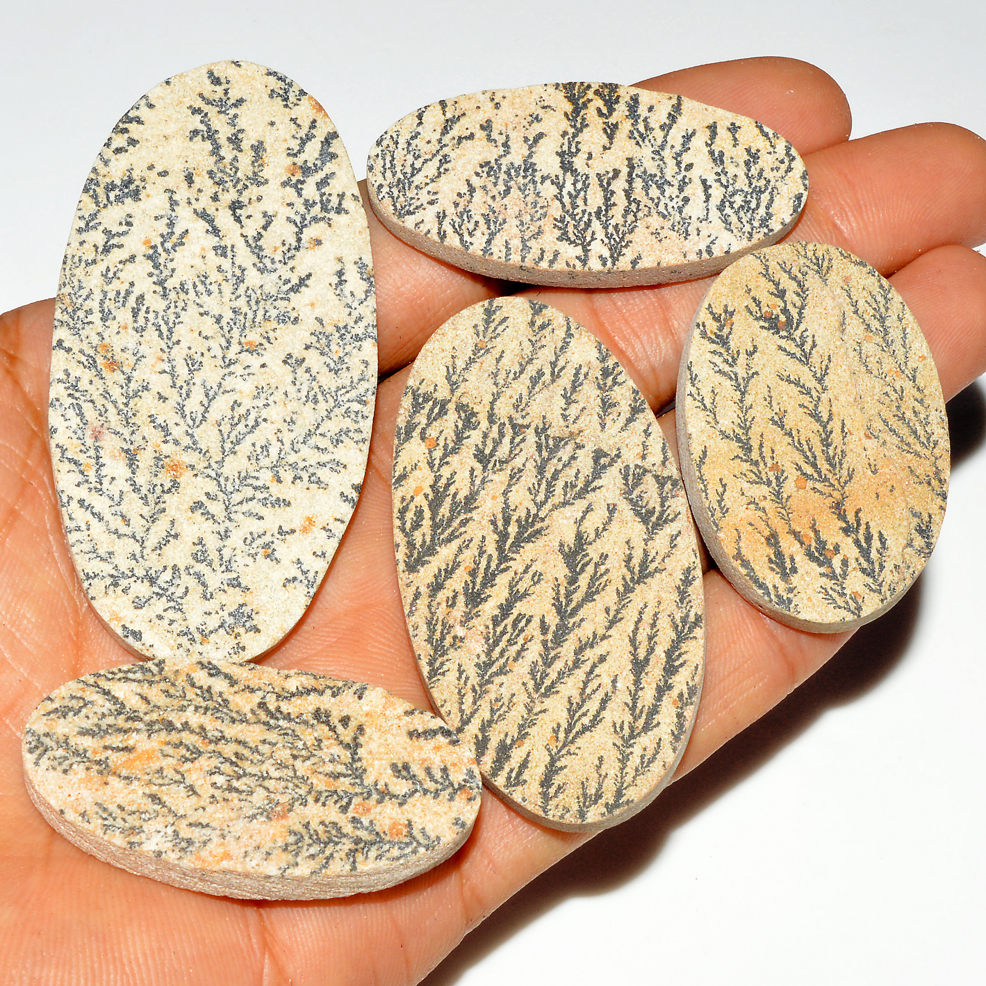 5 Pcs 346 Cts Natural Manganese Dendrite Agate Druzy Loose Gemstone Crystal Healing Mixed Shape For Jewelry Making 68x31 40x25mm 16807