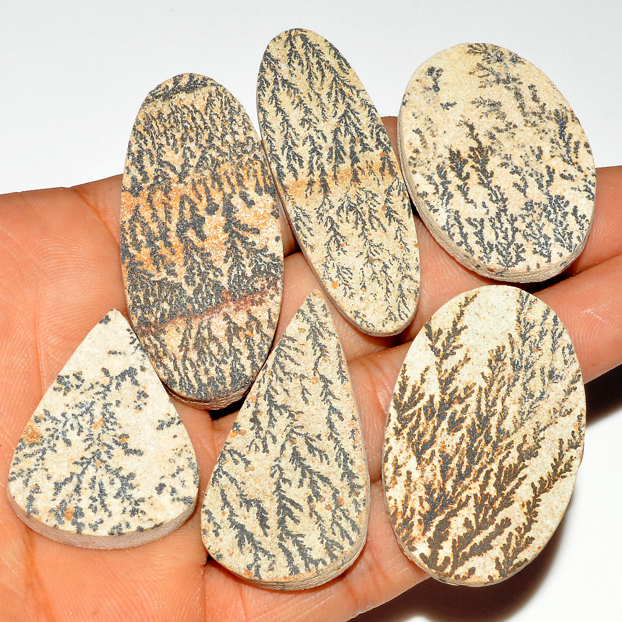 6 Pcs 267 Cts Natural Manganese Dendrite Agate Druzy Loose Gemstone Crystal Healing Mixed Shape For Jewelry Making 50x21 34x24mm 16814