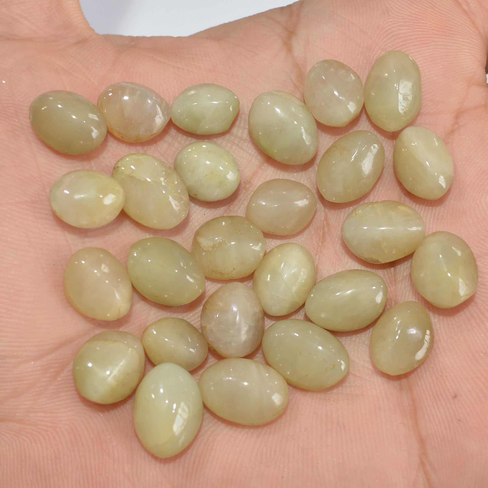 25 Pcs 138 Cts Natural Green Cat Eye Loose Gemstone Lot Back Unpolished Healing Crystal Mixed Shape For Jewelry Making 10x8 8x7mm 16863
