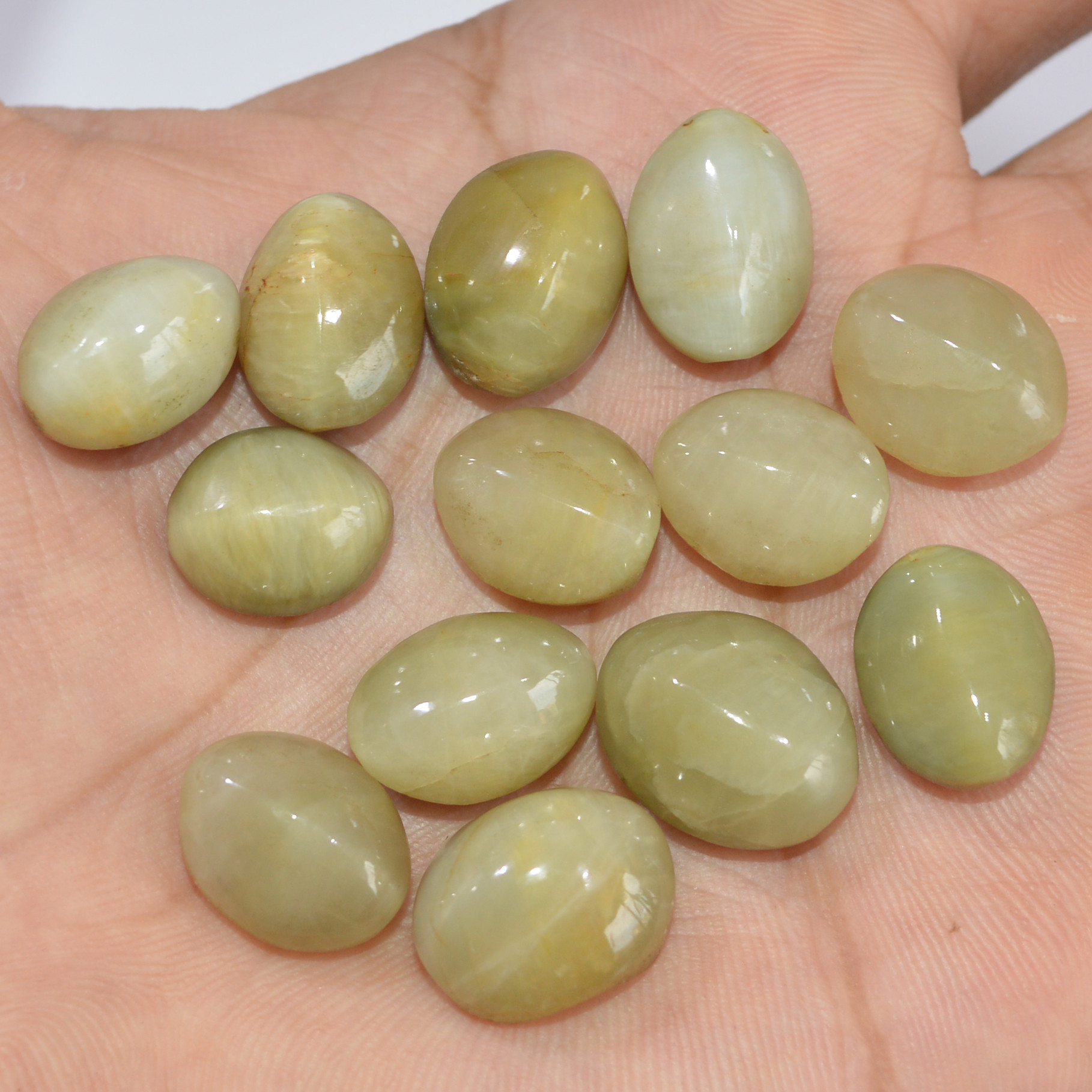 13 Pcs 156 Cts Natural Green Cat Eye Loose Gemstone Lot Back Unpolished Healing Crystal Mixed Shape For Jewelry Making 13x9 9x7mm 16874
