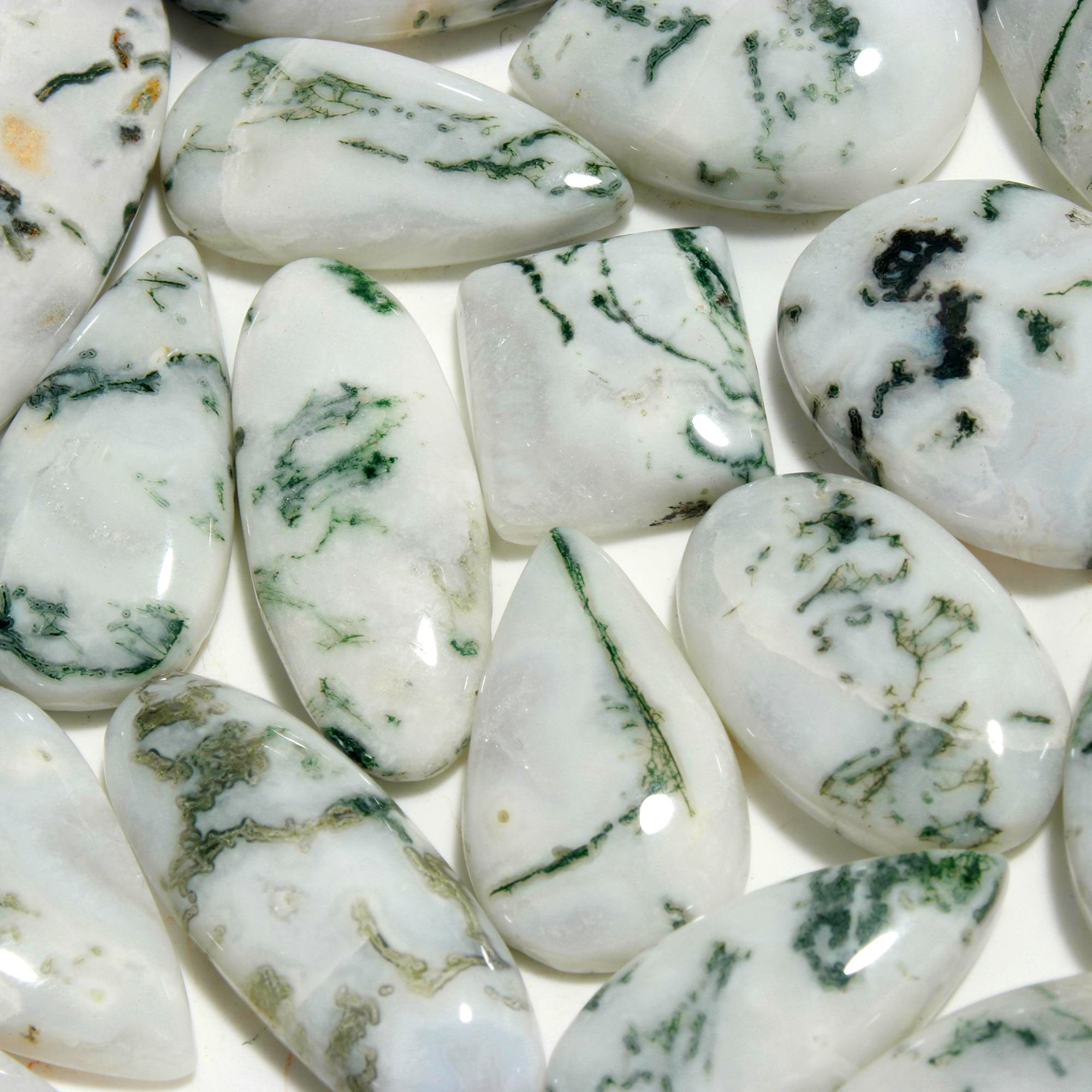 21Pcs 540CTS Natural Tree Agate Cabochon Loose Gemstone Wholesale Lot Size 38x20 27x16mm