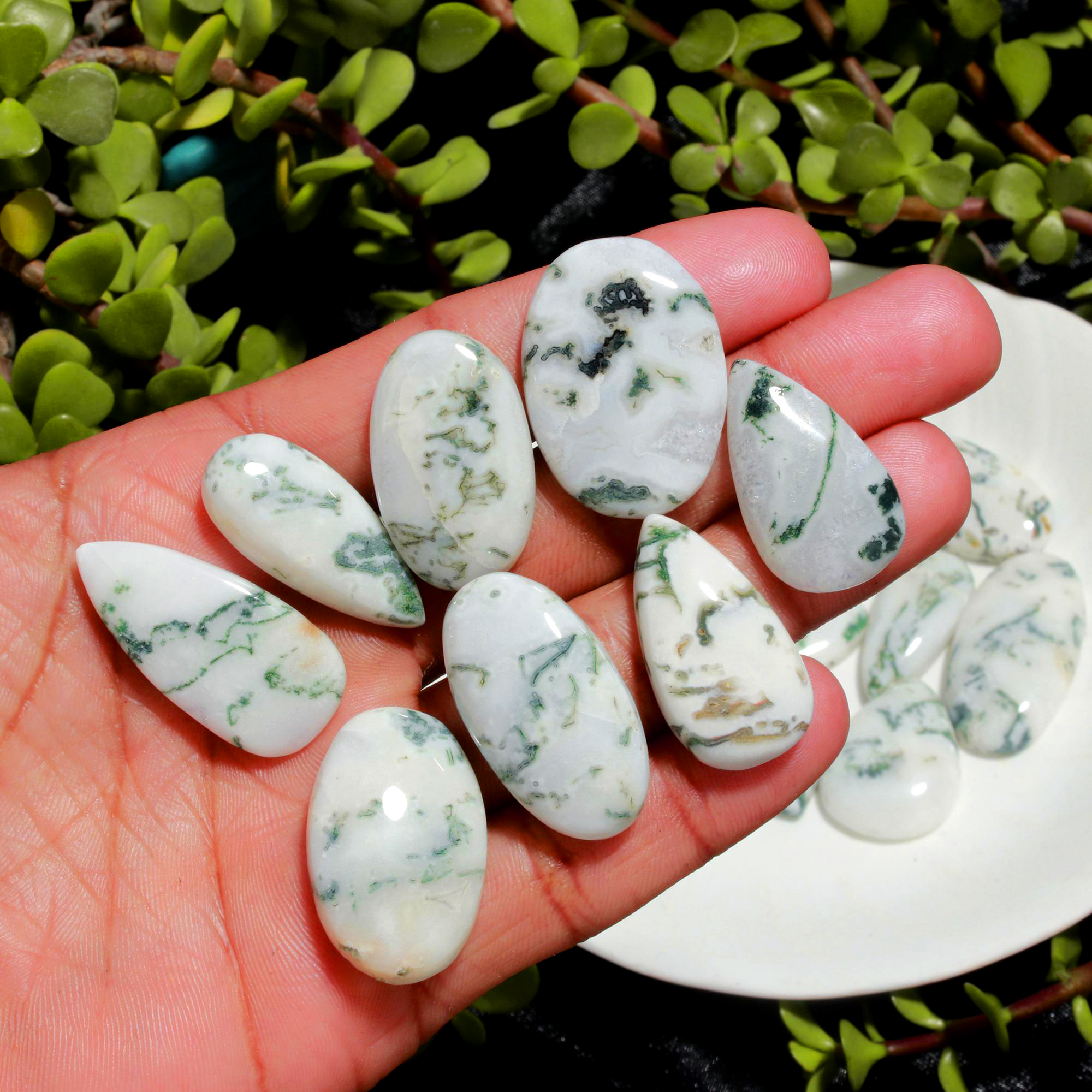 21Pcs 540CTS Natural Tree Agate Cabochon Loose Gemstone Wholesale Lot Size 38x20 27x16mm