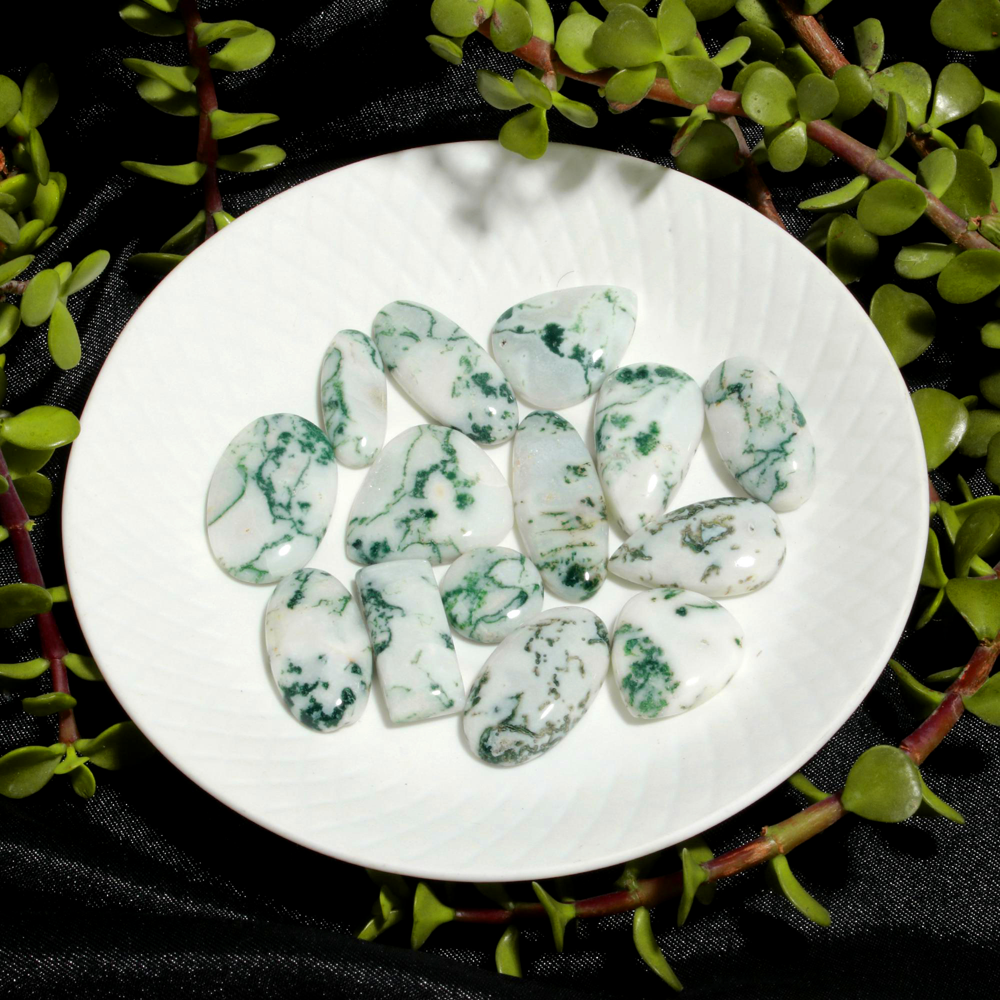 14Pcs 360CTS Natural Tree Agate Cabochon Loose Gemstone Wholesale Lot Size 30x26 17x17mm