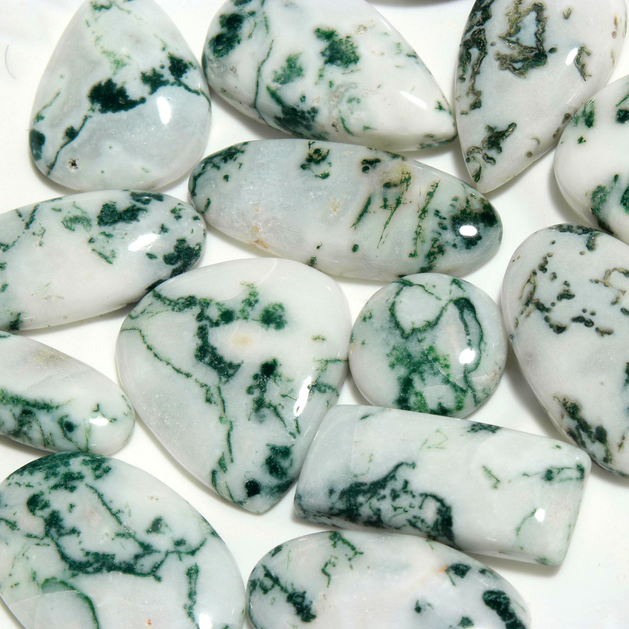 14Pcs 360CTS Natural Tree Agate Cabochon Loose Gemstone Wholesale Lot Size 30x26 17x17mm