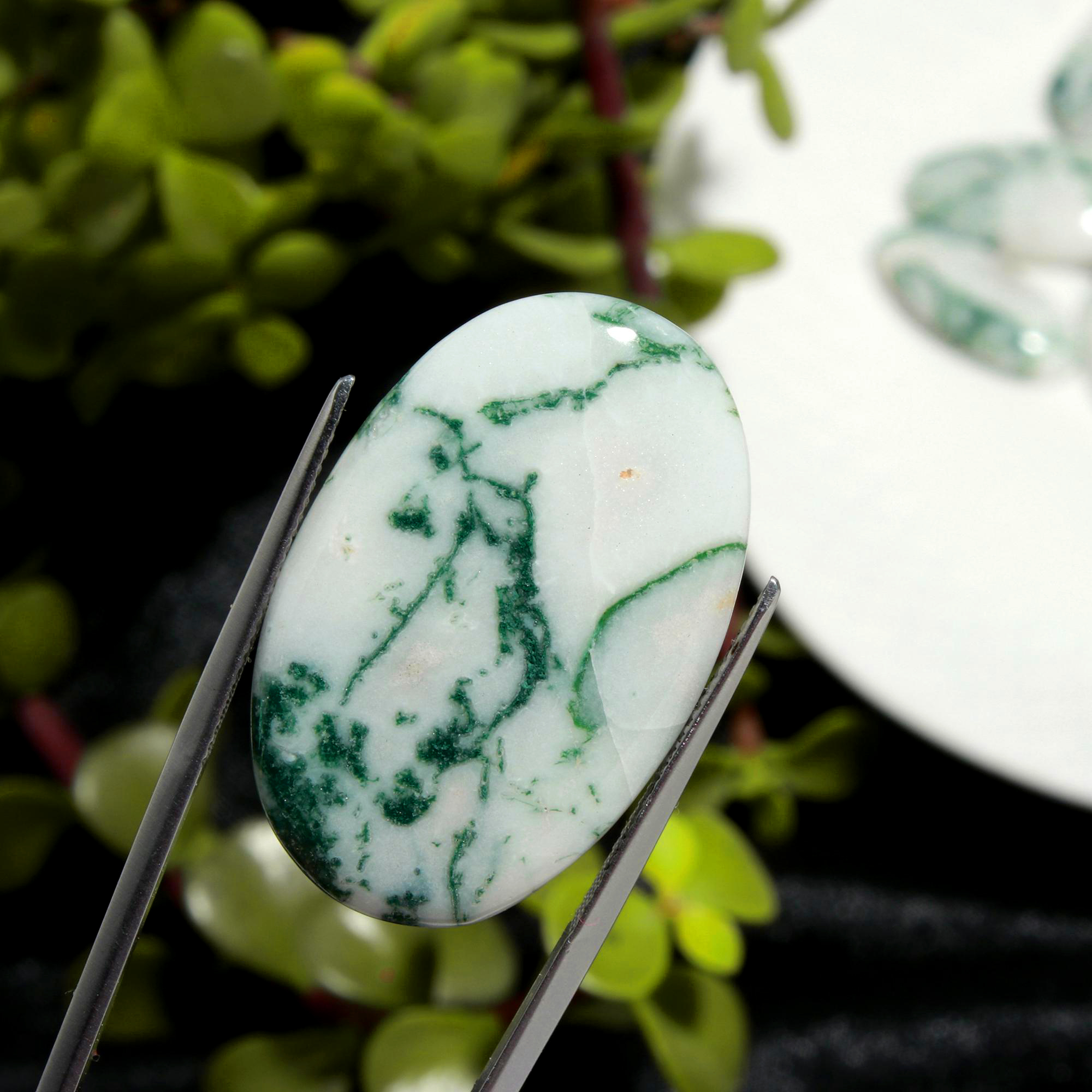 14Pcs 360CTS Natural Tree Agate Cabochon Loose Gemstone Wholesale Lot Size 30x26 17x17mm