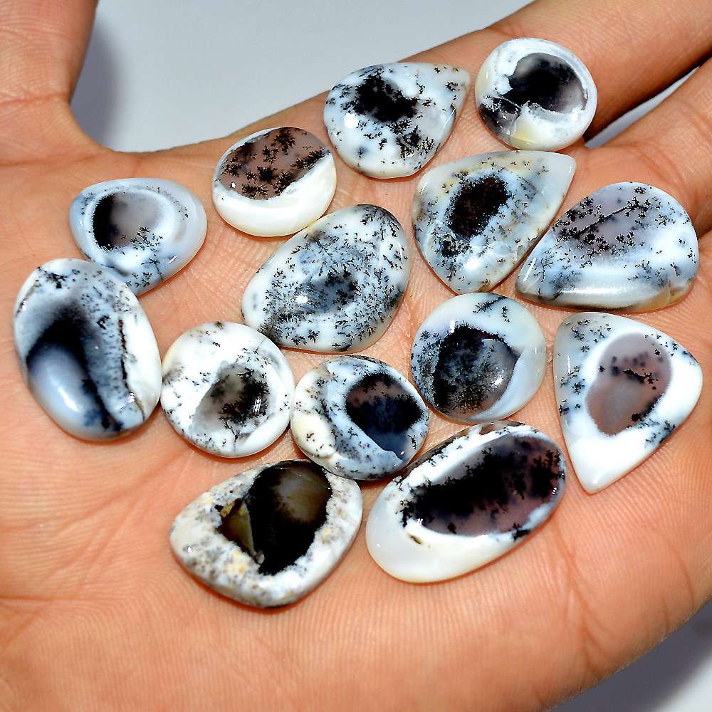 Image of 14 Pcs 168 Cts Natural Dendrite Agate Cabochon Gemstone Lot Jewelry Making Handmade Crystal Craft Supplies 24x15 14x14mm #17211