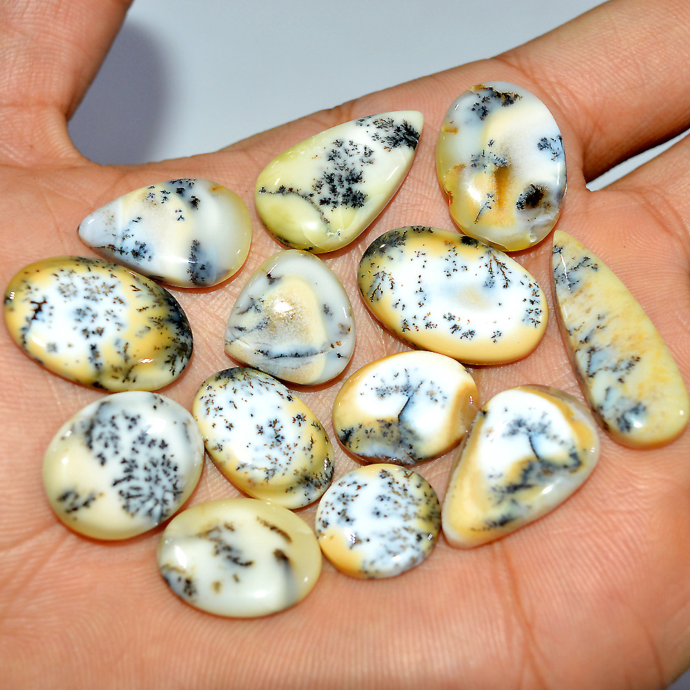 Image of 13 Pcs 120 Cts Natural Dendrite Agate Cabochon Loose Gemstone Lot Mixed Shapes Sizes Healing Crystal For Jewelry Making 29x9 12x12mm #17245