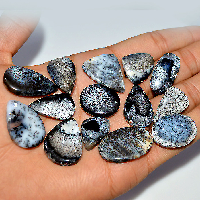 14 Pcs 203 Cts Natural Dendrite Agate Cabochon Loose Gemstone Lot Craft Supplies For Silver Jewelry Making For Women 29x15 19x13mm 17298