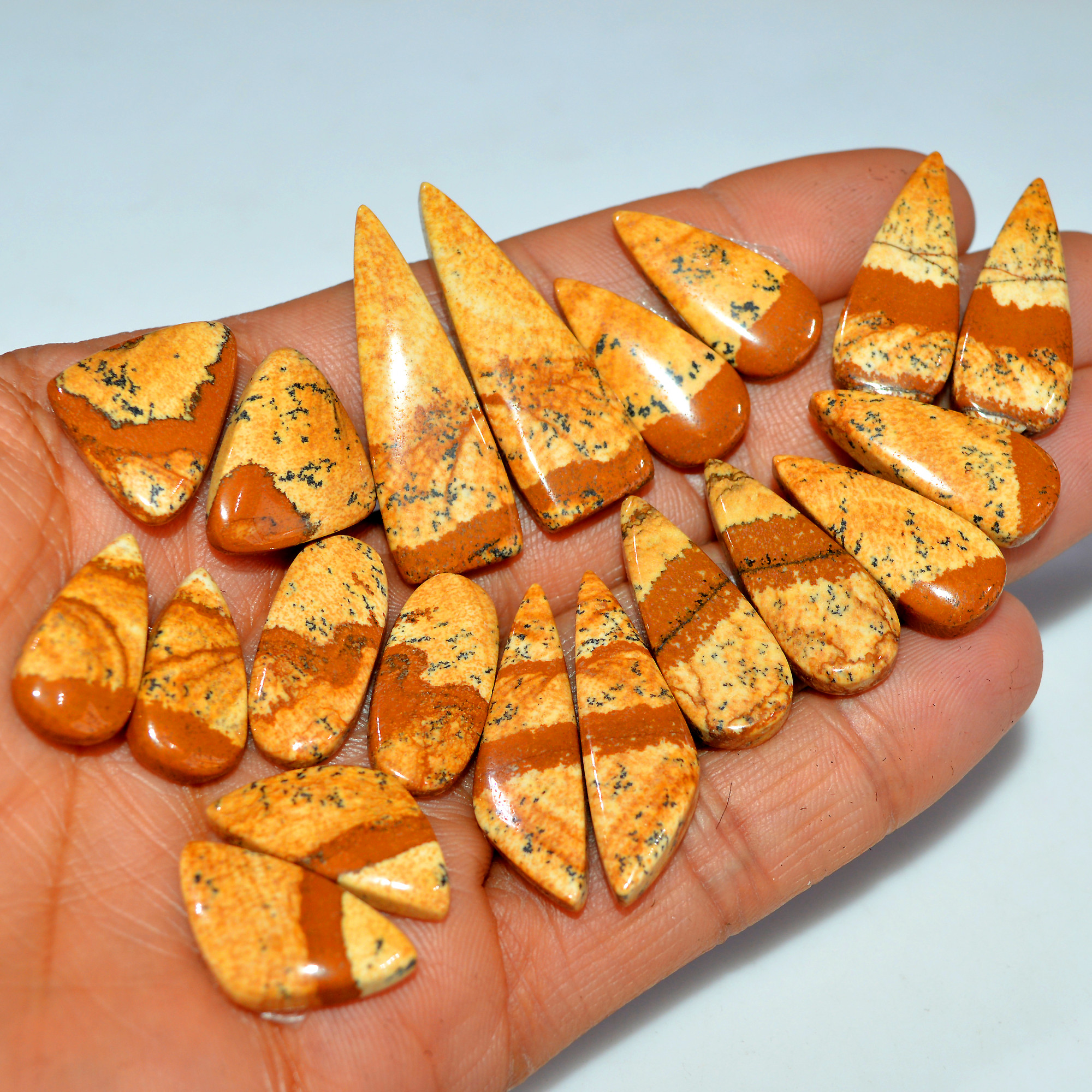 10 Pairs 225Cts  Natural Picture Jasper Cabochon Gemstone Pair Lot for Silver Jewelry 35x10 19x9mm 17622