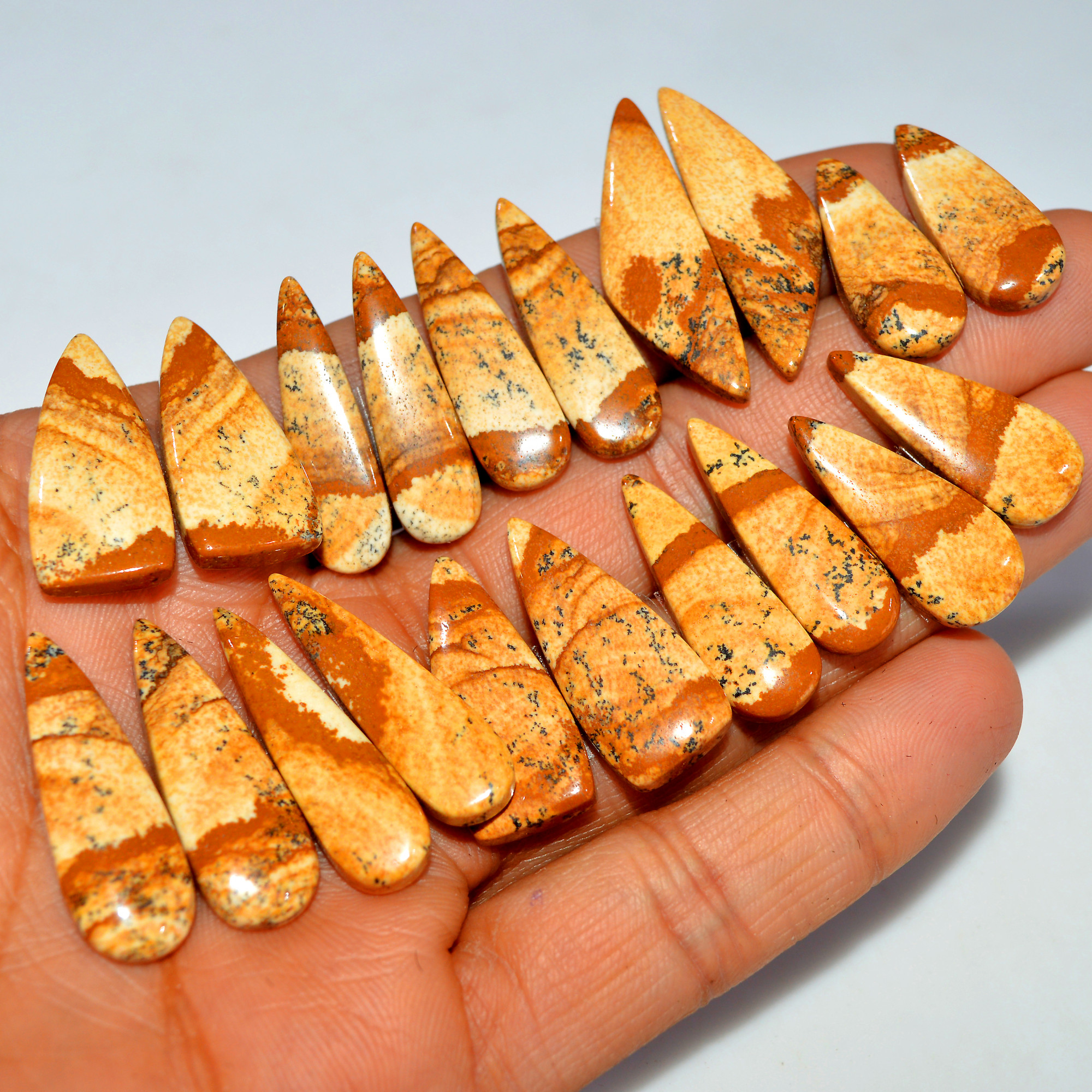 10 Pairs 216Cts Natural Picture Jasper Cabochon Gemstone Pair Lot for Silver Jewelry 34x10 24x10mm 17623