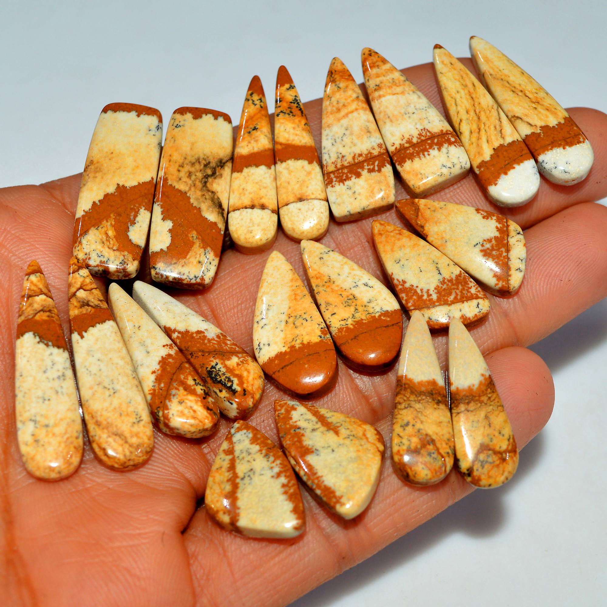10 Pairs 220Cts Natural Picture Jasper Cabochon Gemstone Pair Lot for Silver Jewelry 30x10 20x10mm 17624