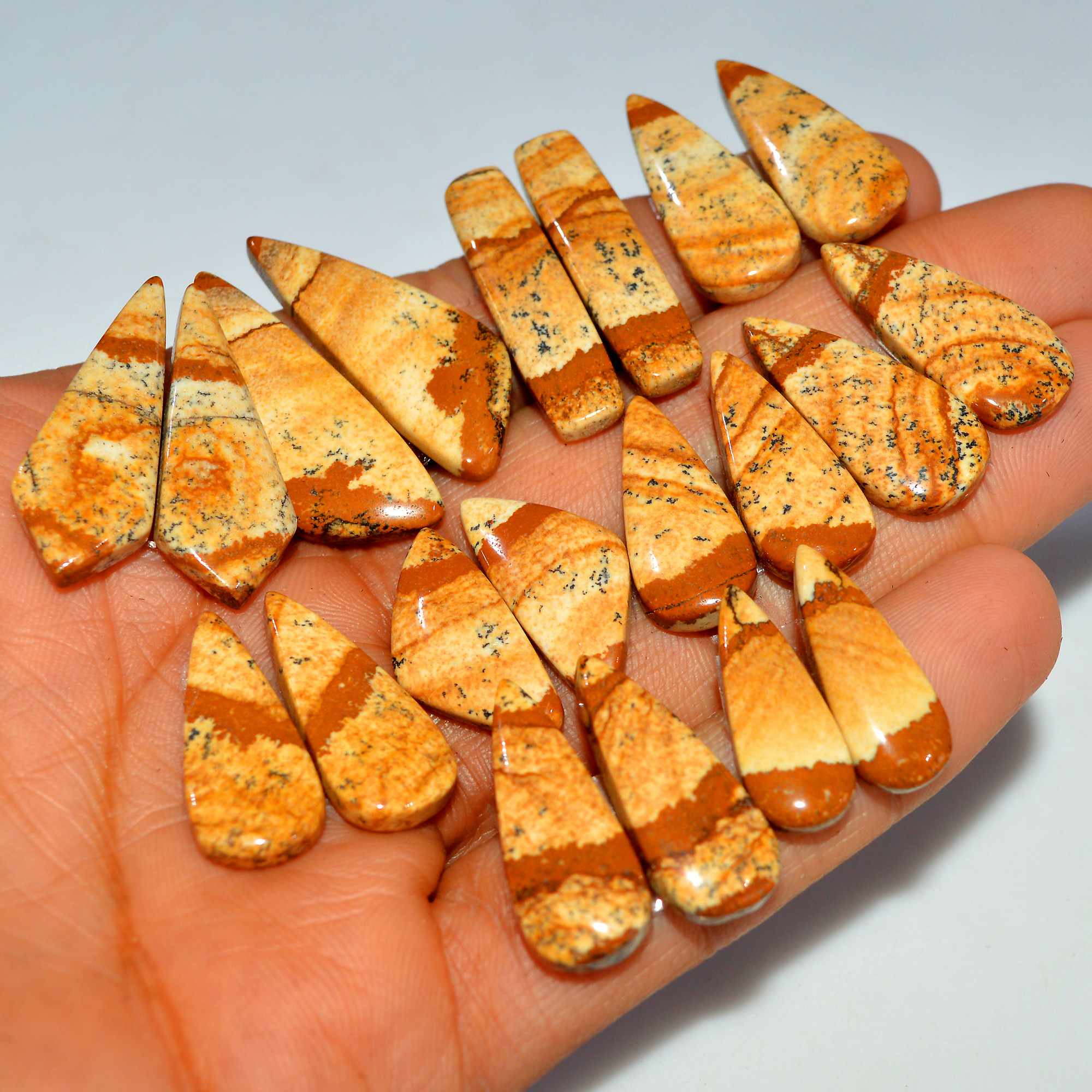 10 Pairs 195Cts Natural Picture Jasper Cabochon Gemstone Pair Lot for Silver Jewelry 31x11 22x10mm 17625