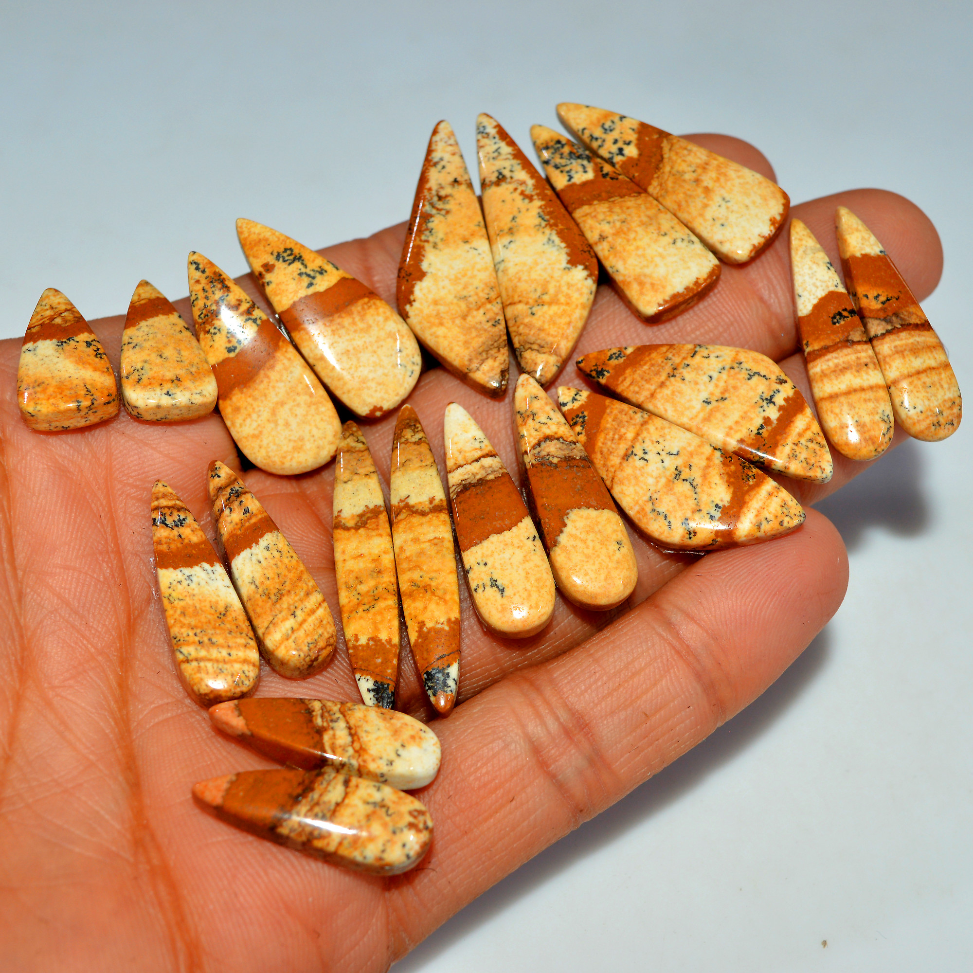 10 Pairs 201Cts Natural Picture Jasper Cabochon Gemstone Pair Lot for Silver Jewelry 35x10 19x10mm 17626