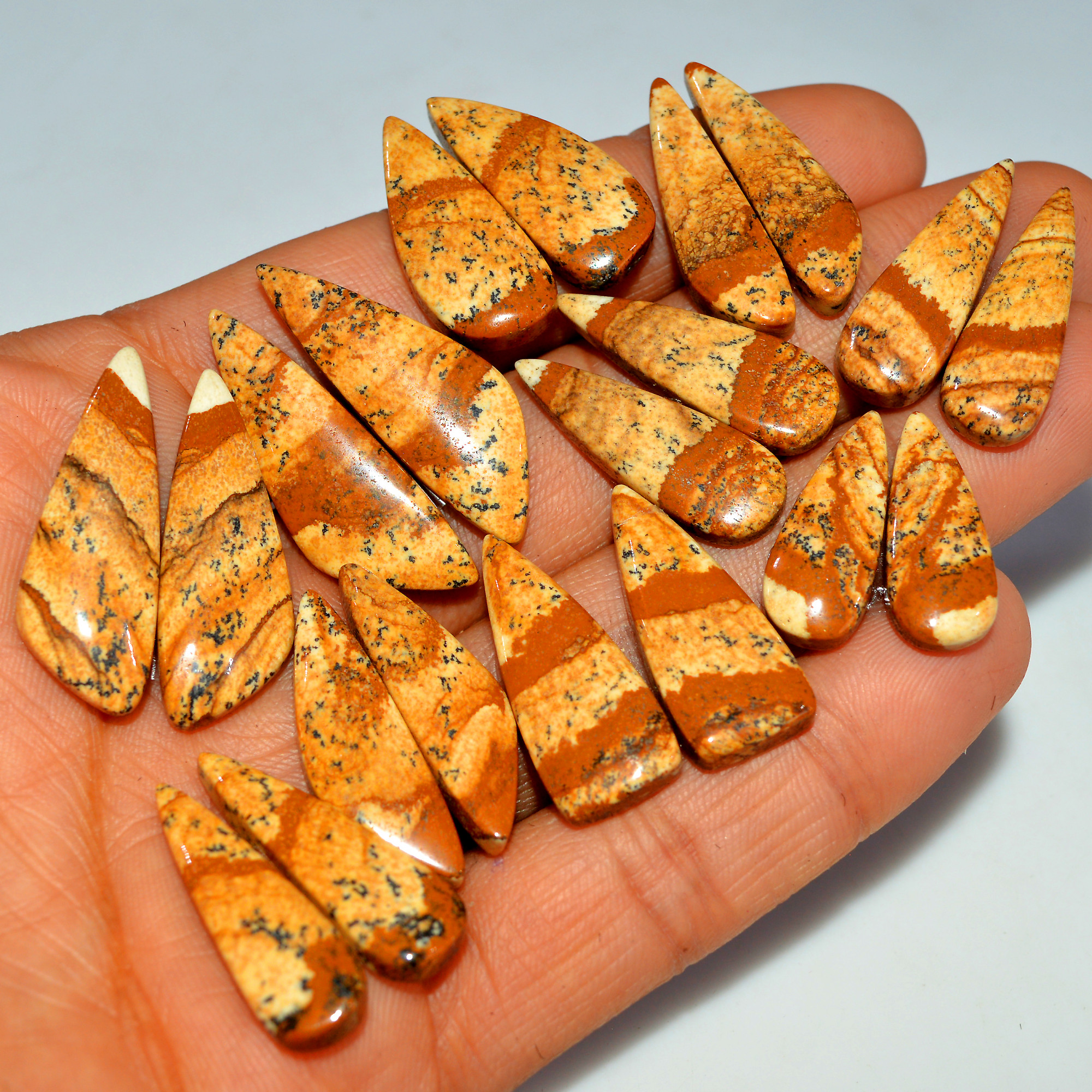 10 Pairs 203Cts Natural Picture Jasper Cabochon Gemstone Pair Lot for Silver Jewelry 33x10 20x8mm 17630
