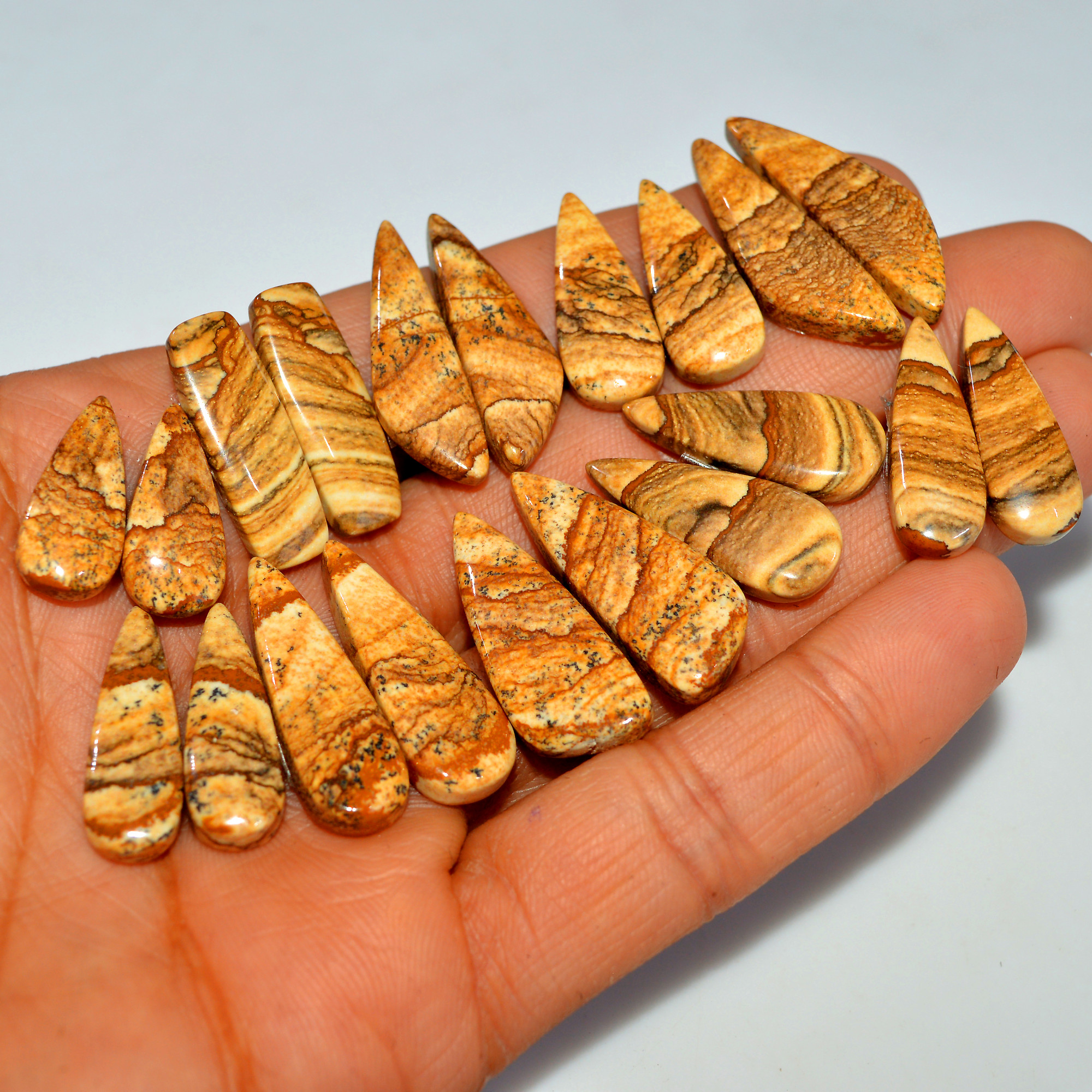 10 Pairs 197Cts  Natural Picture Jasper Cabochon Gemstone Pair Lot for Silver Jewelry 30x9 19x9mm 17631