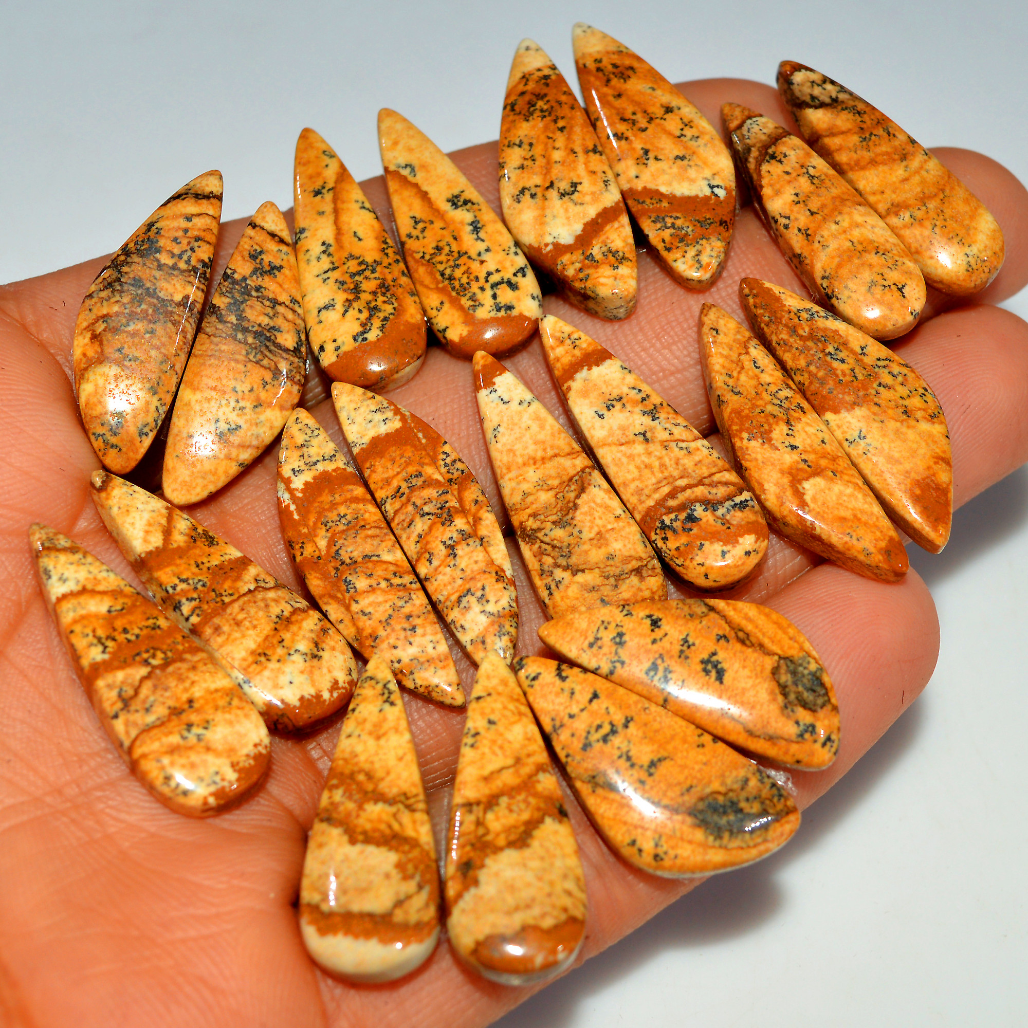 10 Pairs 188 Cts Natural Picture Jasper Cabochon Gemstone 30x10 25x10mm 17632