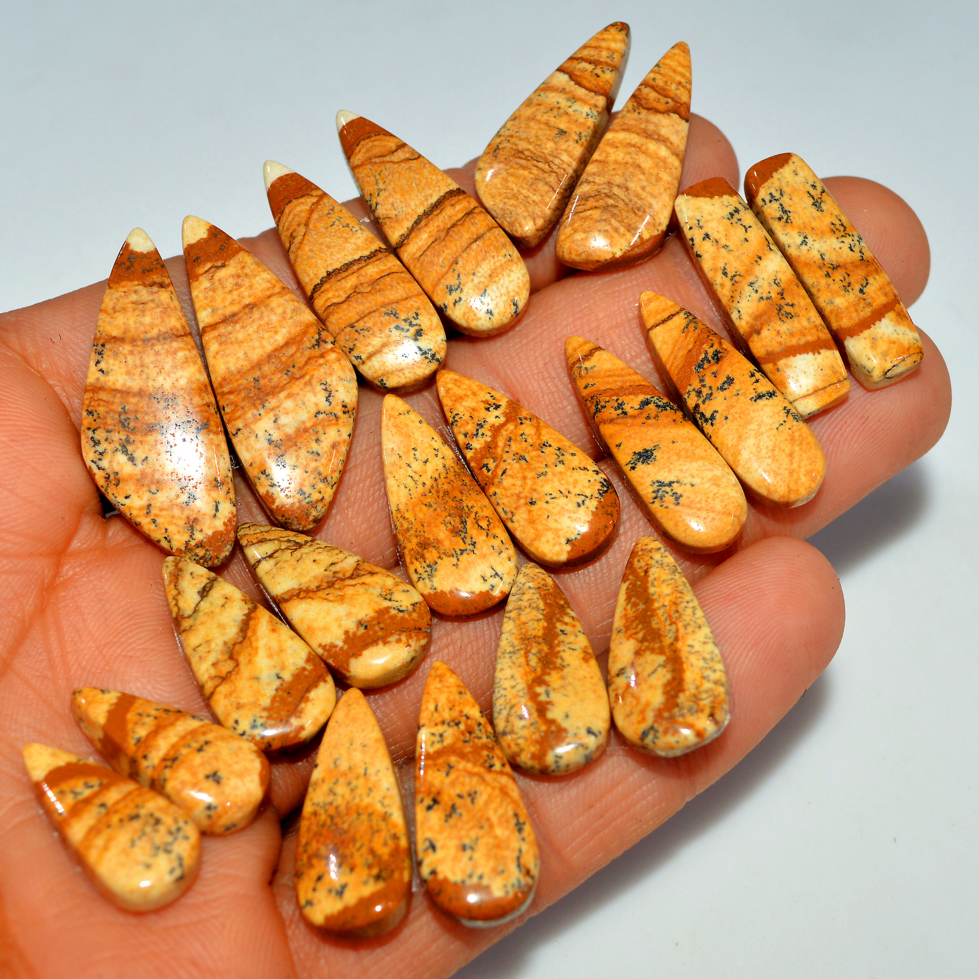 10 Pairs 190Cts  Natural Brown Picture Jasper Cabochon Gemstone Pair Lot Gift for Her 33x11 19x9mm 17638
