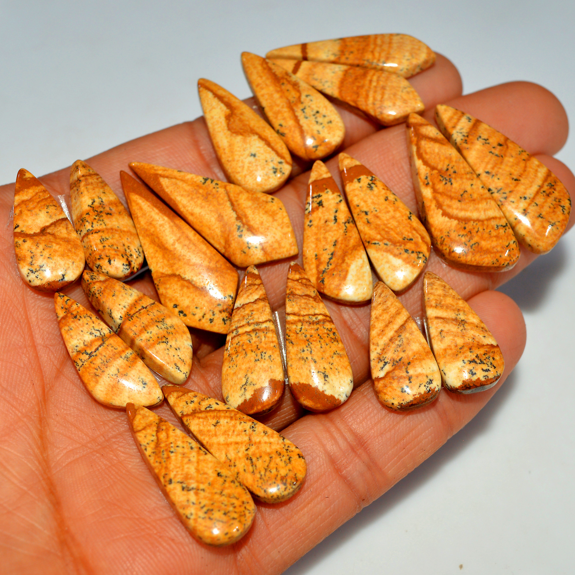 10 Pairs 194 Cts Natural Picture Jasper Cabochon Gemstone 31x11 20x10mm 17639