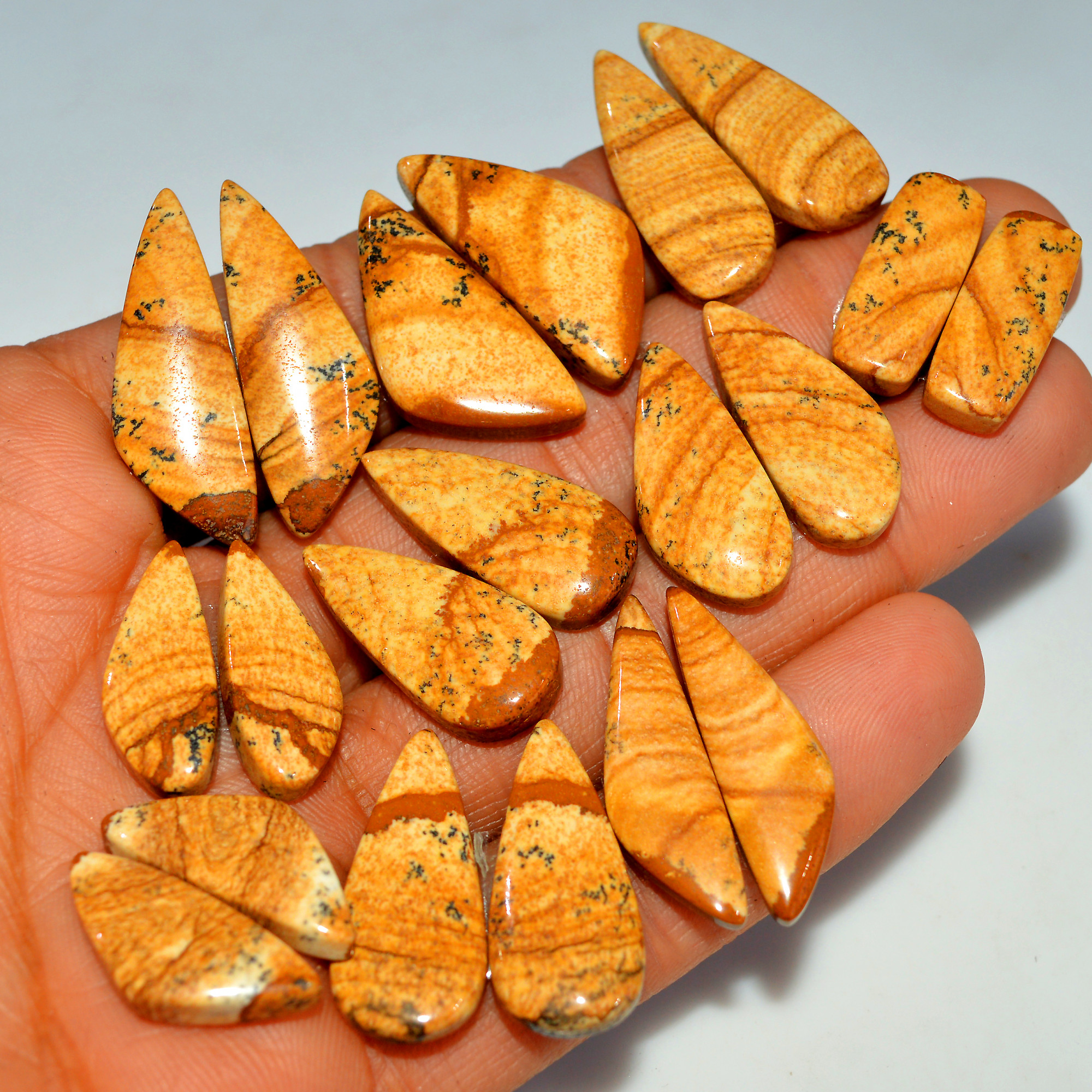 10 Pairs 218Cts  Natural Brown Picture Jasper Cabochon Gemstone Pair Lot Gift for Her 30x10 20x9mm 17643