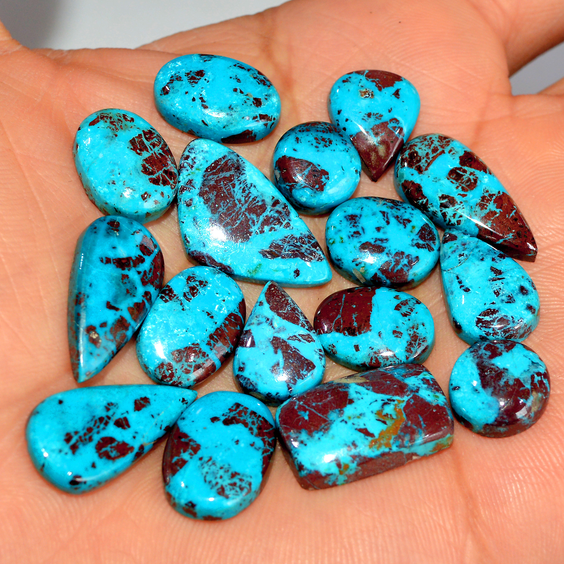 16 Pcs 98 Cts Natural Chrysocolla Cabochon Loose Gemstone Mix Shapes and Size Lots 23x13 10x10mm 17758