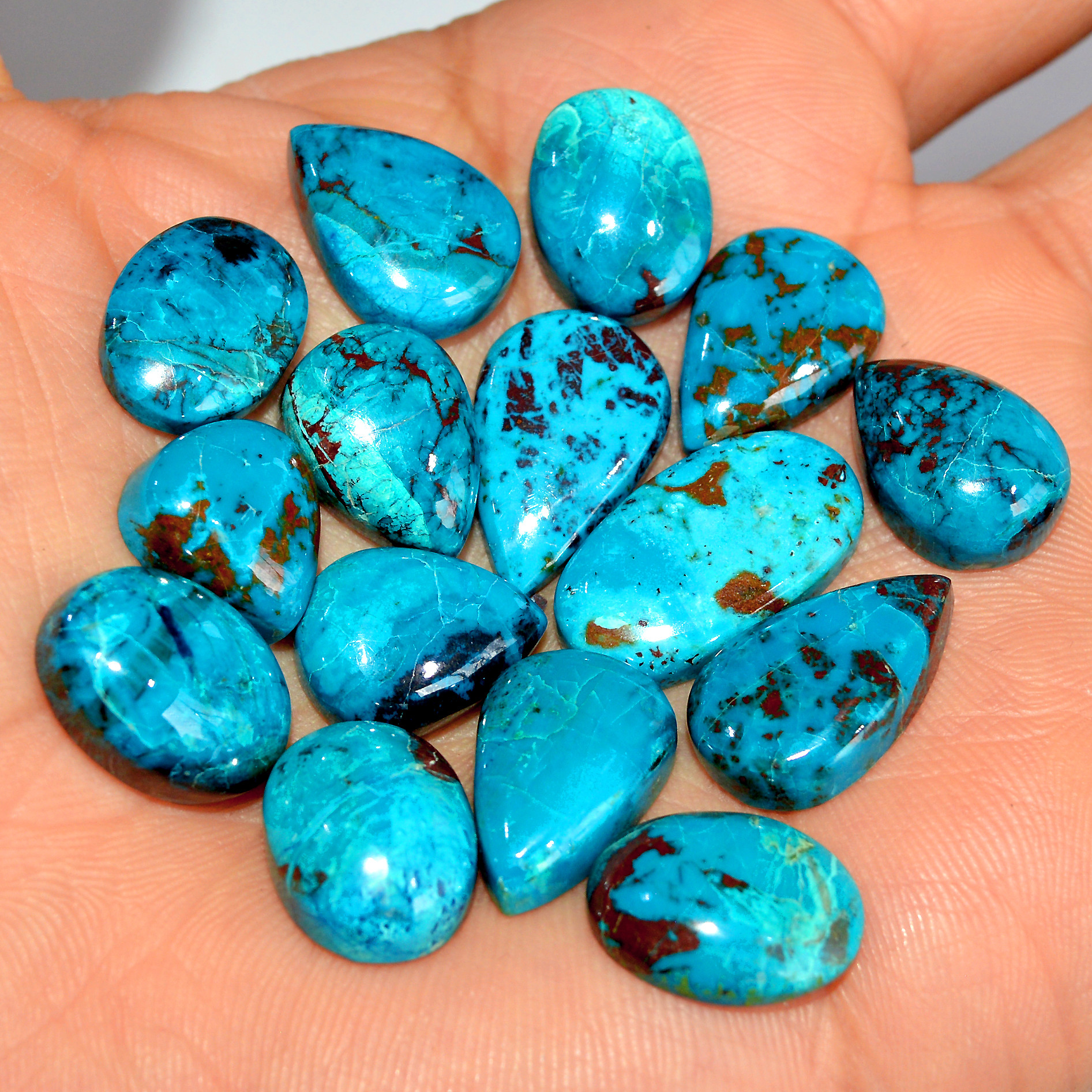 15 Pcs 144 Cts Natural Chrysocolla Cabochon Loose Gemstone Mix Shapes and Size Lots 20x10 12x10mm 17766
