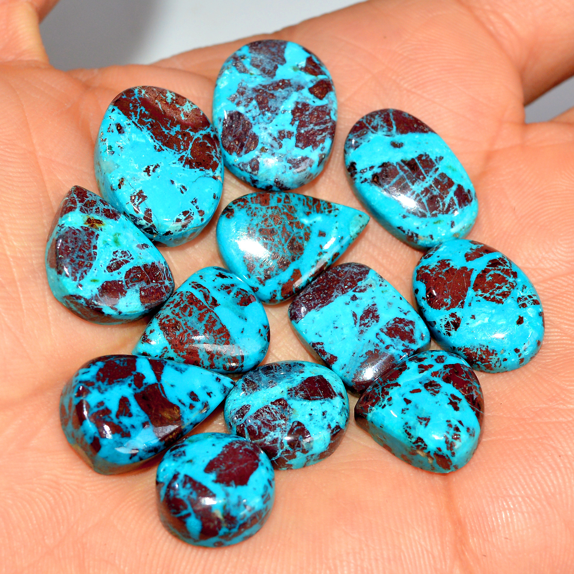 12 Pcs 118 Cts Natural Chrysocolla Cabochon Loose Gemstone Mix Shapes and Size Lots 20x14 10x10mm 17767