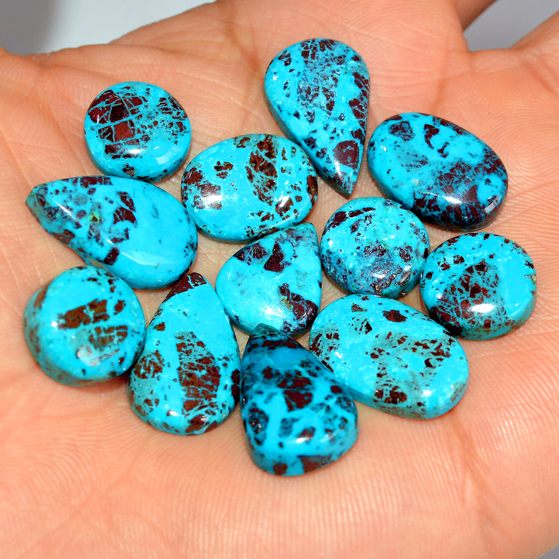 12 Pcs 103 Cts Natural Chrysocolla Cabochon Loose Gemstone Lot Healing Crystal For Jewelry Making 20x12 12x12mm 17777