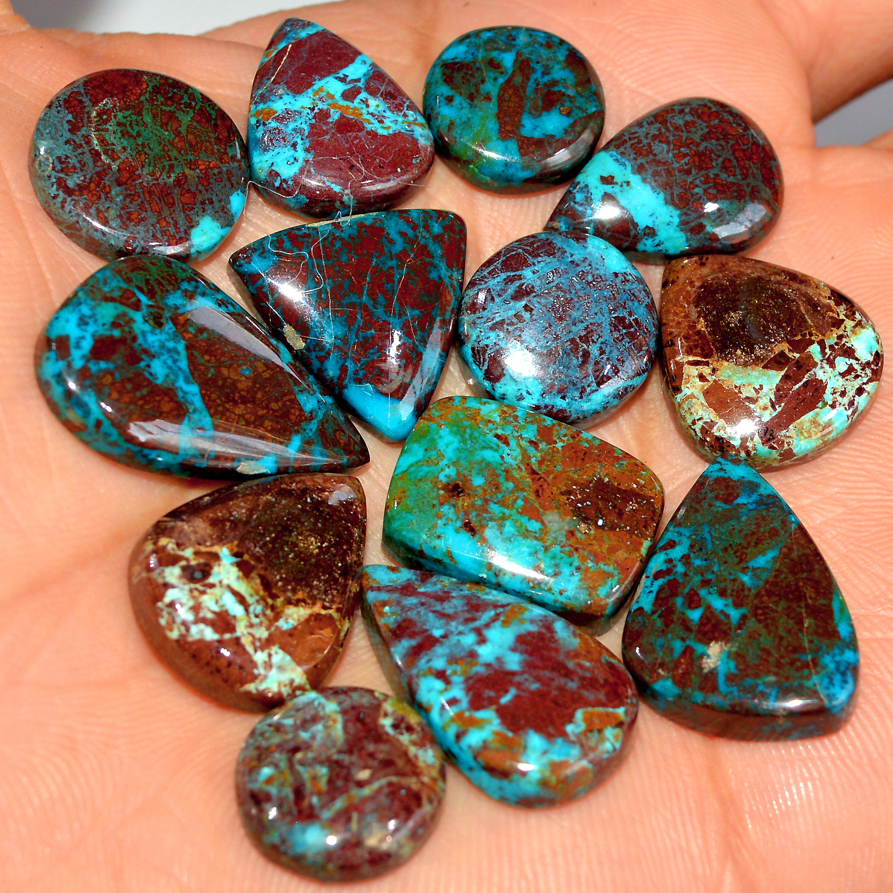 13 Pcs 143 Cts Natural Chrysocolla Cabochon Loose Gemstone Jewelry Making Semi-Precious Crystal Lot 25x15 13x13mm 17807