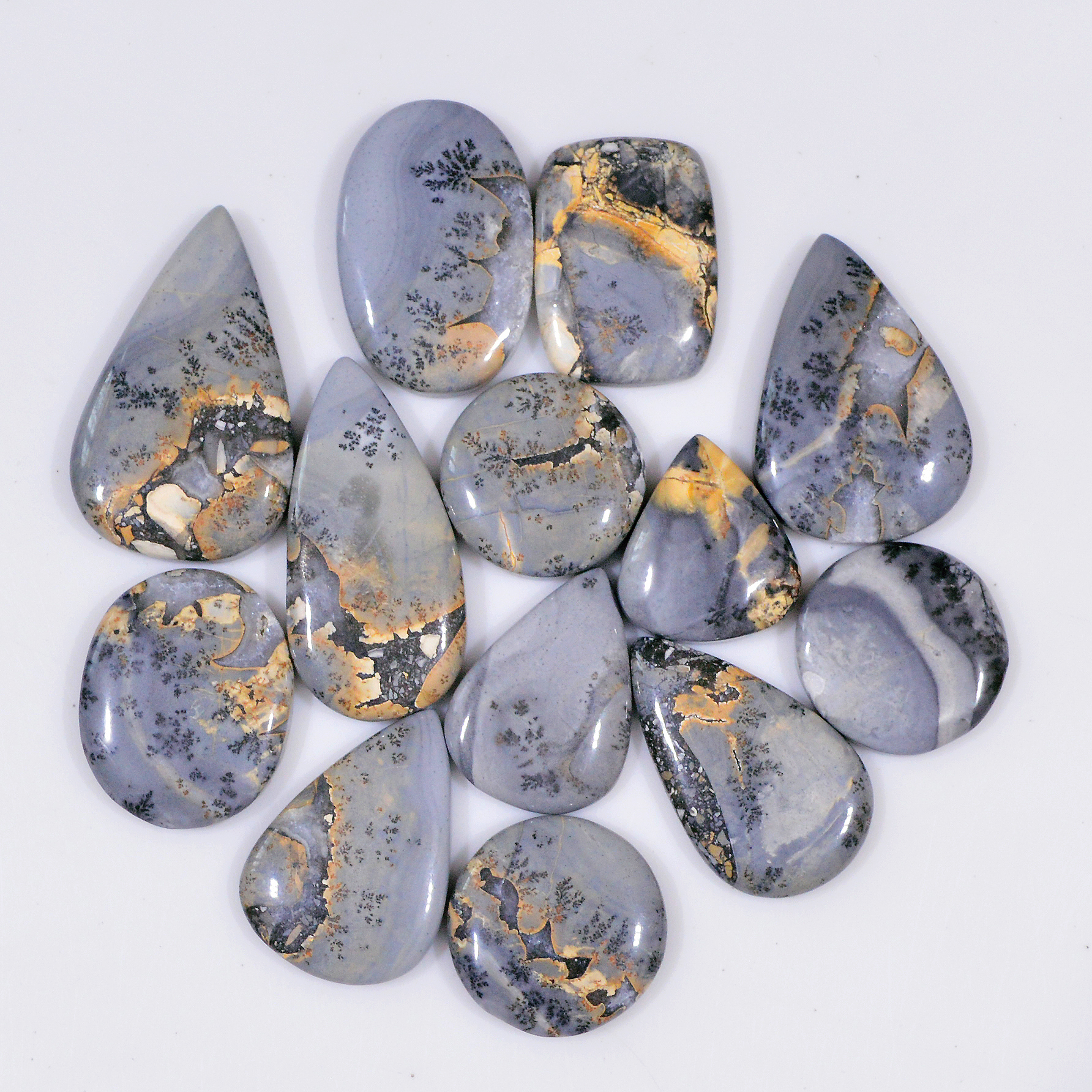 13 Pcs 273 Cts Natural Maligano Jasper Cabochon Jewelry Making Loose Gemstone 32x15 16x16mm 18410