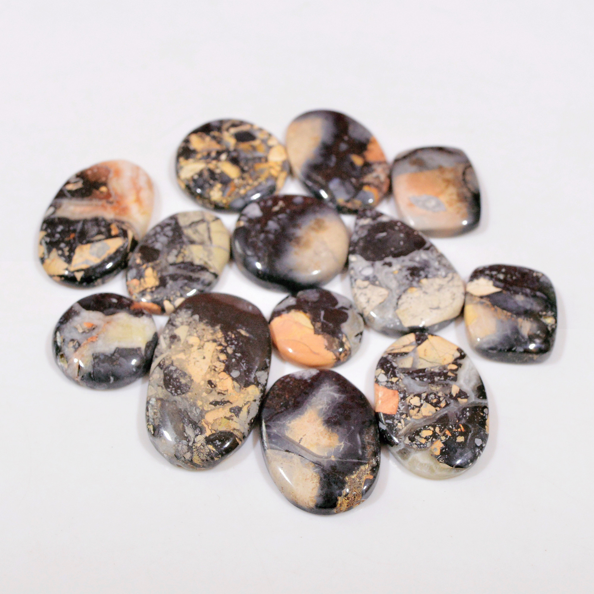 13 Pcs 251 Cts Natural Maligano Jasper Cabochon Handmade Silver Jewelry Supplies 33x18 14x14mm 18458