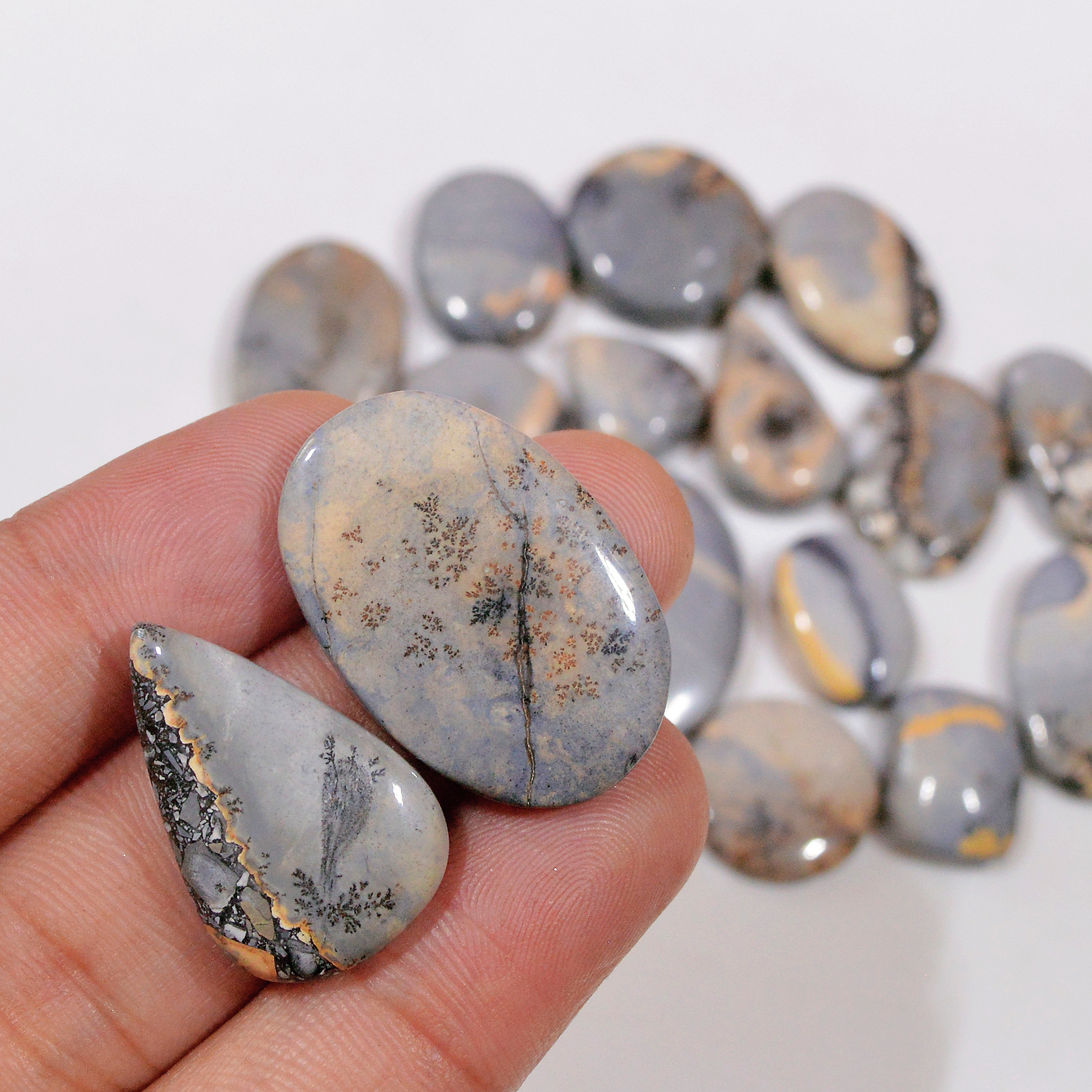 17 Pcs 261 Cts Natural Maligano Jasper Cabochon Handmade Silver Jewelry Supplies 27x18 13x10mm 18465