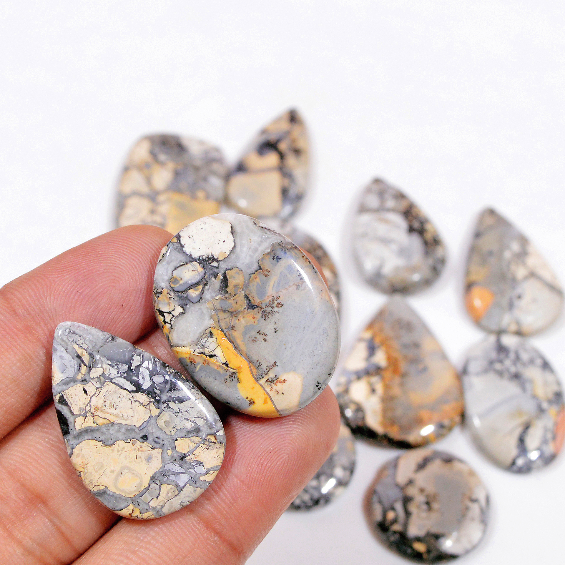 11 Pcs 253 Cts Natural Maligano Jasper Cabochon Handmade Silver Jewelry Supplies 34x25 18x18mm 18467
