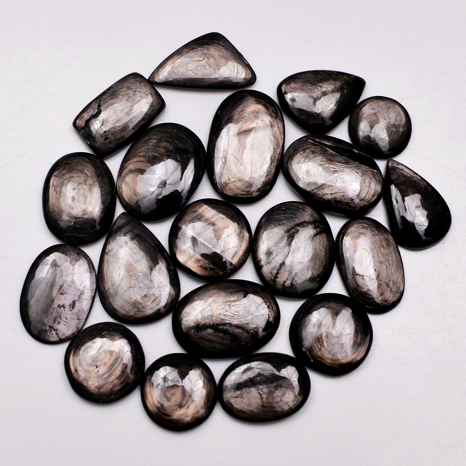 19 Pcs 187 Cts Natural Hypersthene Gemstone Cabochon Lot 23X14 12X12mm 18926