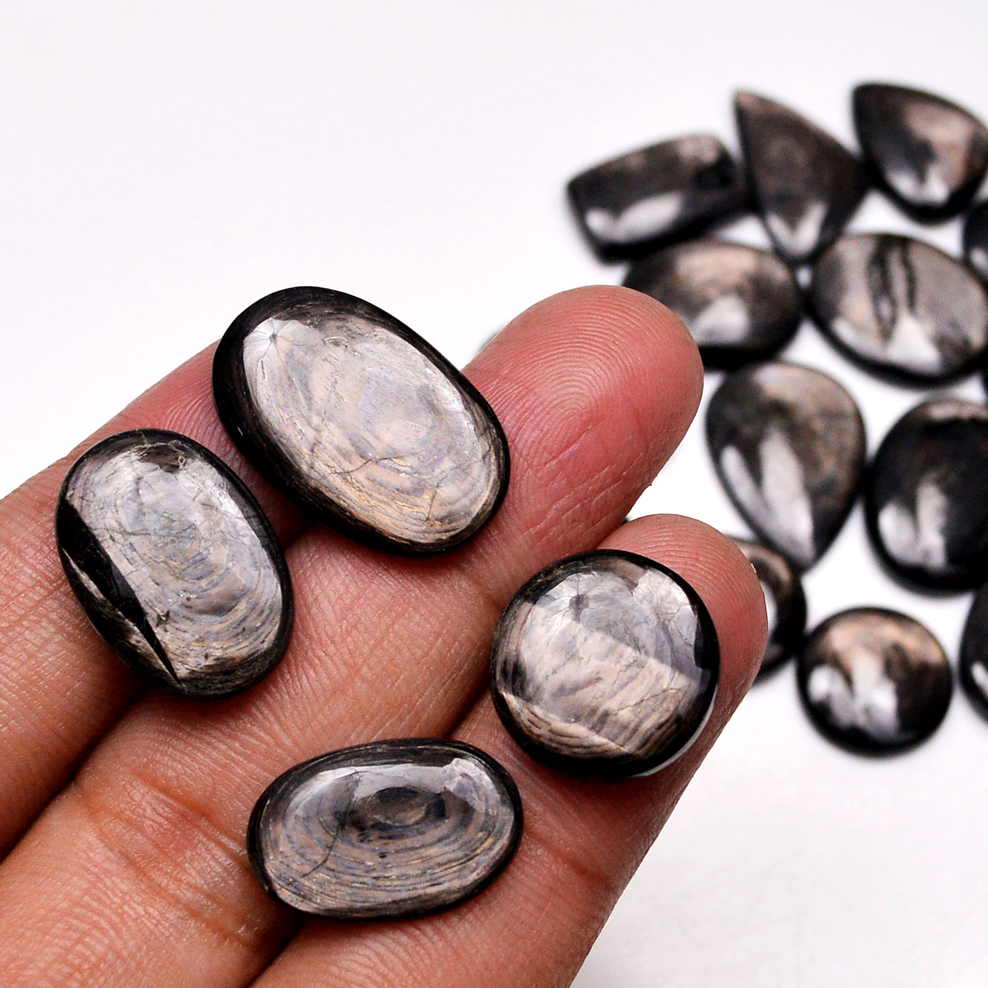 19 Pcs 187 Cts Natural Hypersthene Gemstone Cabochon Lot 23X14 12X12mm 18926