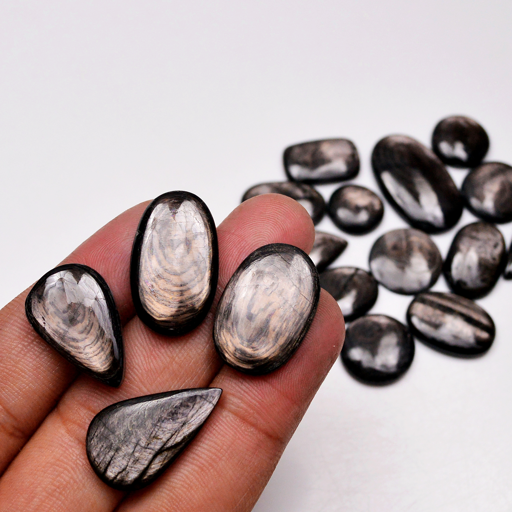 17 Pcs 185 Cts Natural Hypersthene Gemstone Cabochon Lot 27X15 12X12mm 18927