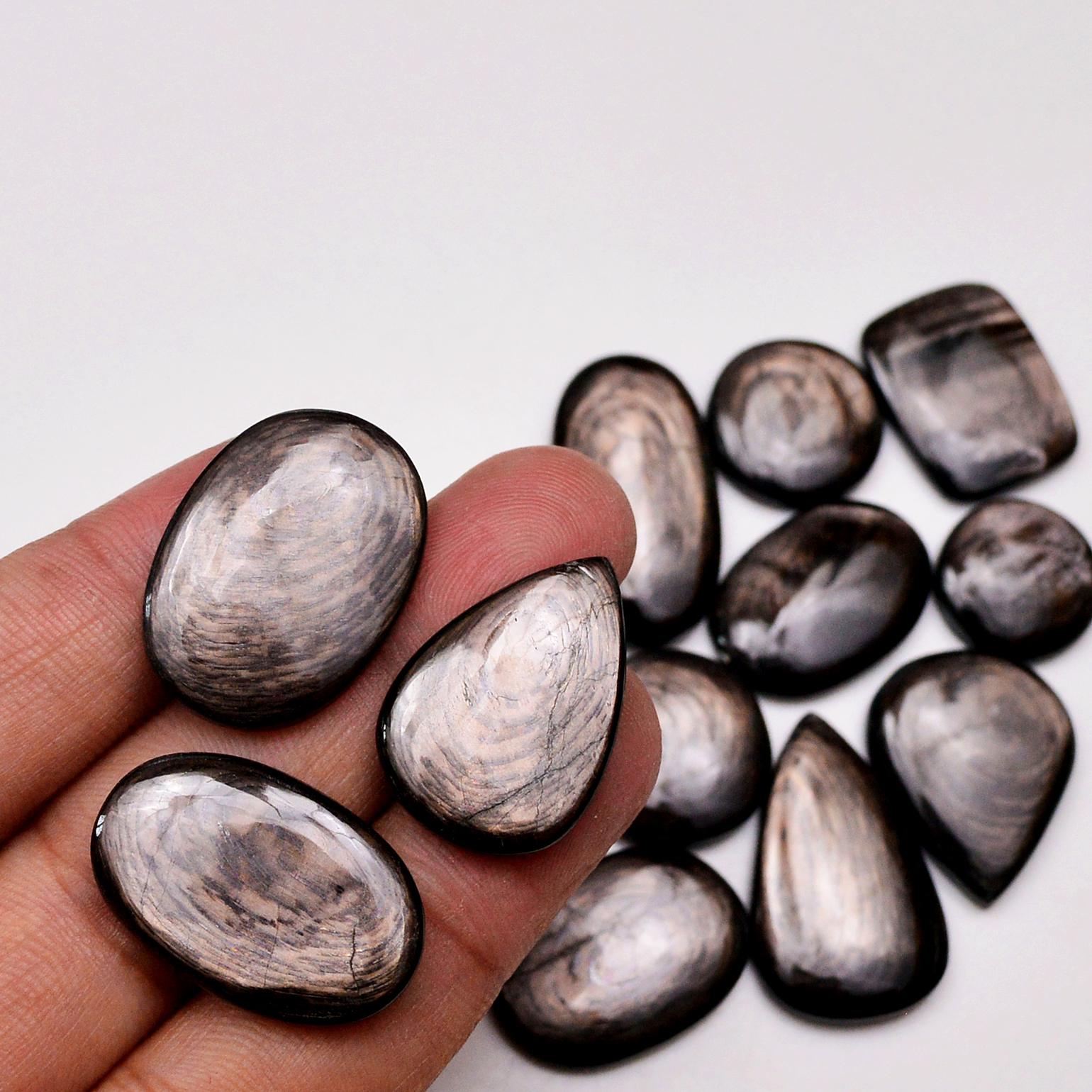 12 Pcs 243 Cts Natural Hypersthene Gemstone Cabochon Lot 29X18 16X16 mm 18940