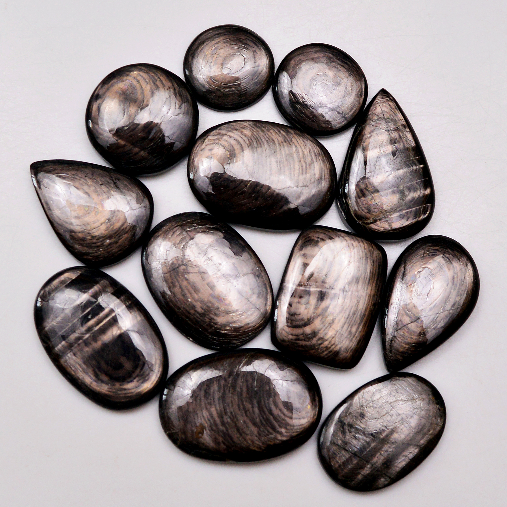 12 Pcs 260 Cts Natural Hypersthene Gemstone Cabochon Lot 28X19 16X16mm 18942