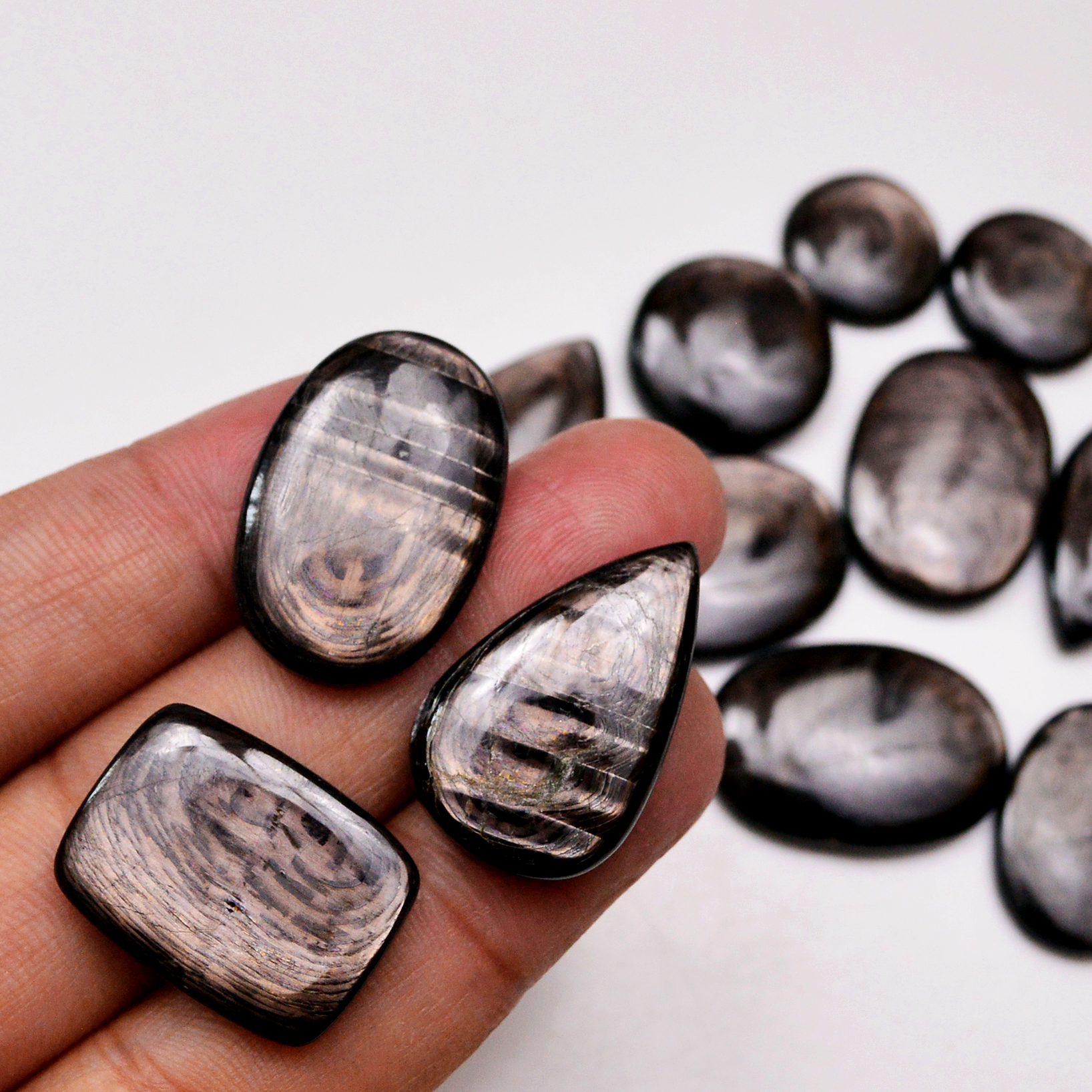12 Pcs 260 Cts Natural Hypersthene Gemstone Cabochon Lot 28X19 16X16mm 18942